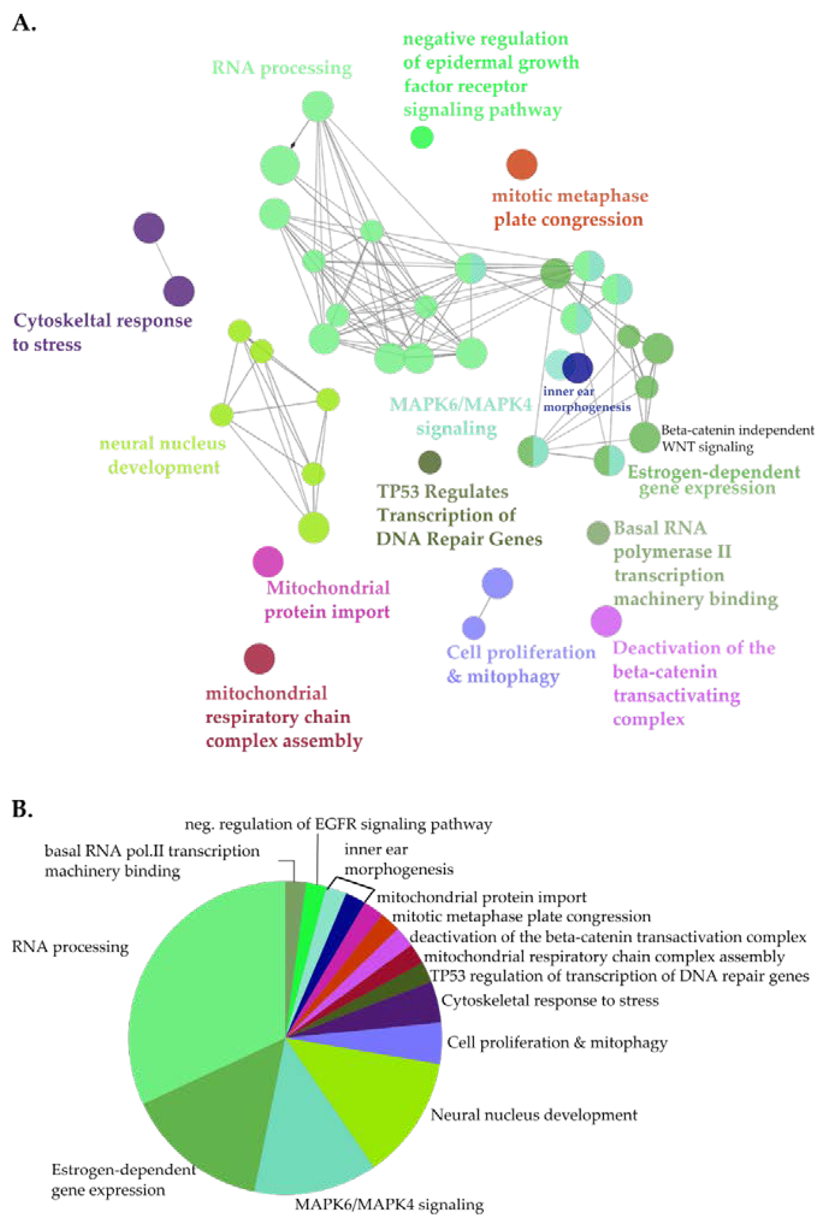 Cells 09 01666 g003 Cells 09 01666 g003