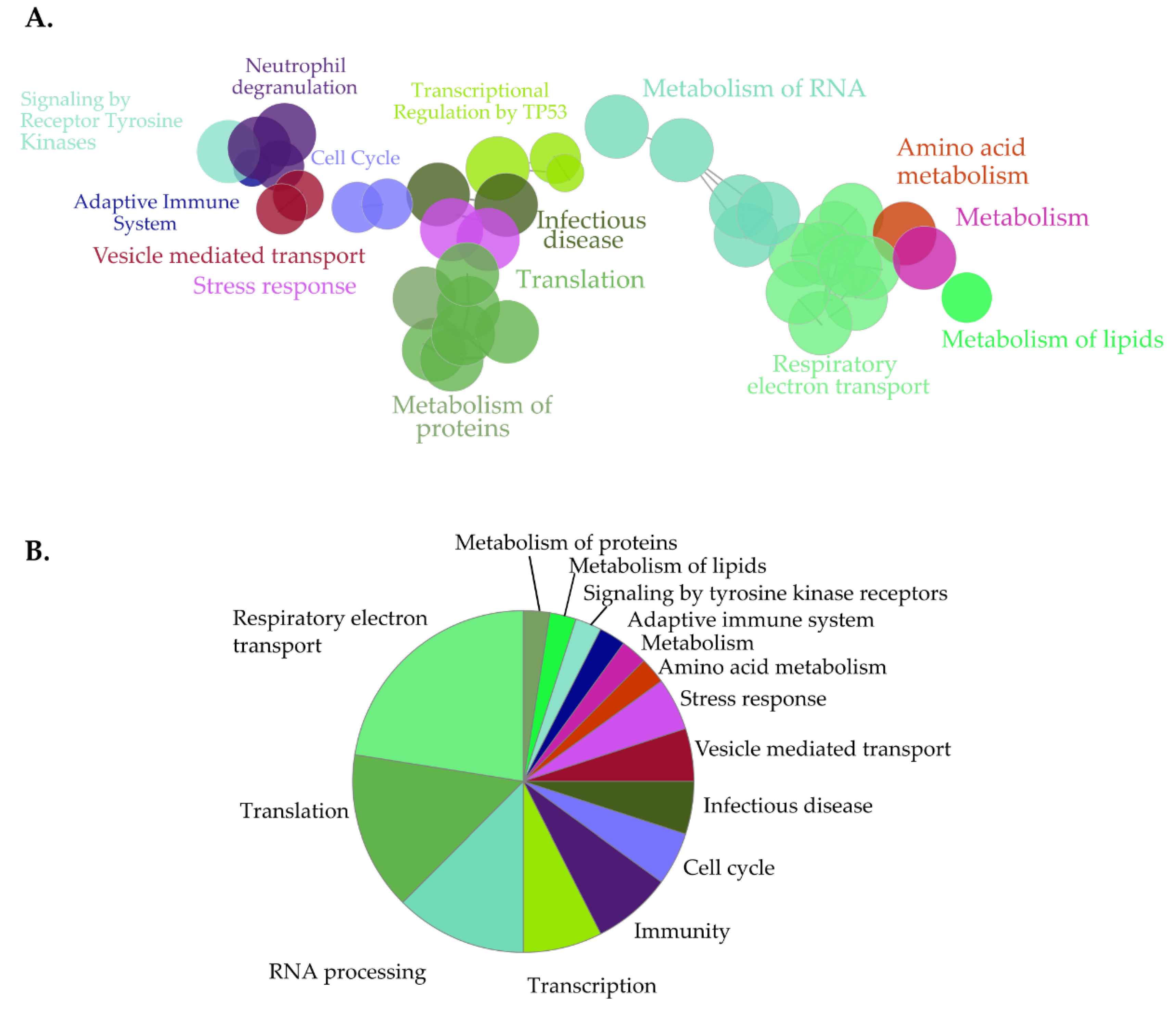 Cells 09 01666 g006 Cells 09 01666 g006