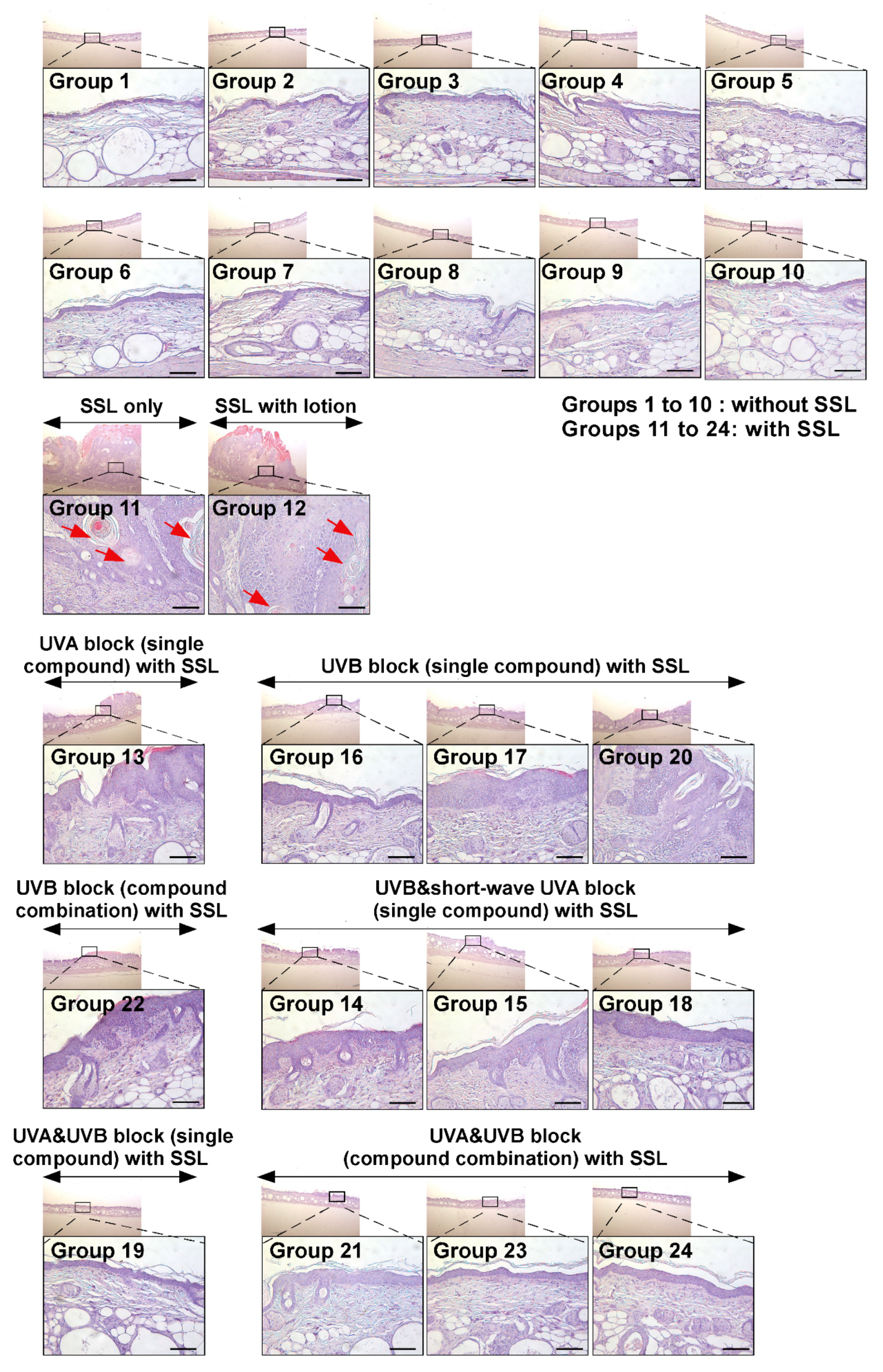 Cells 09 01674 g003 Cells 09 01674 g003
