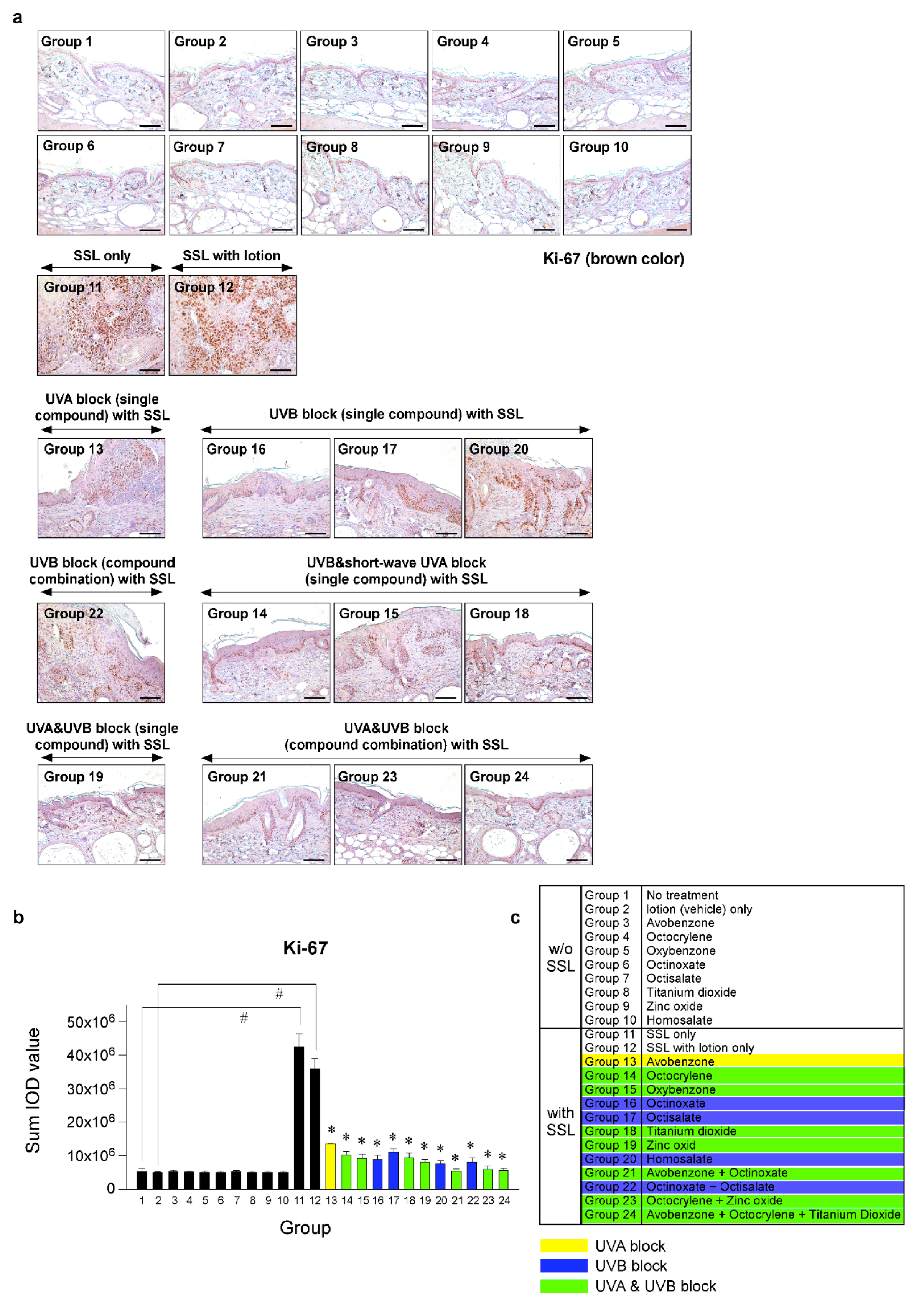Cells 09 01674 g004 Cells 09 01674 g004