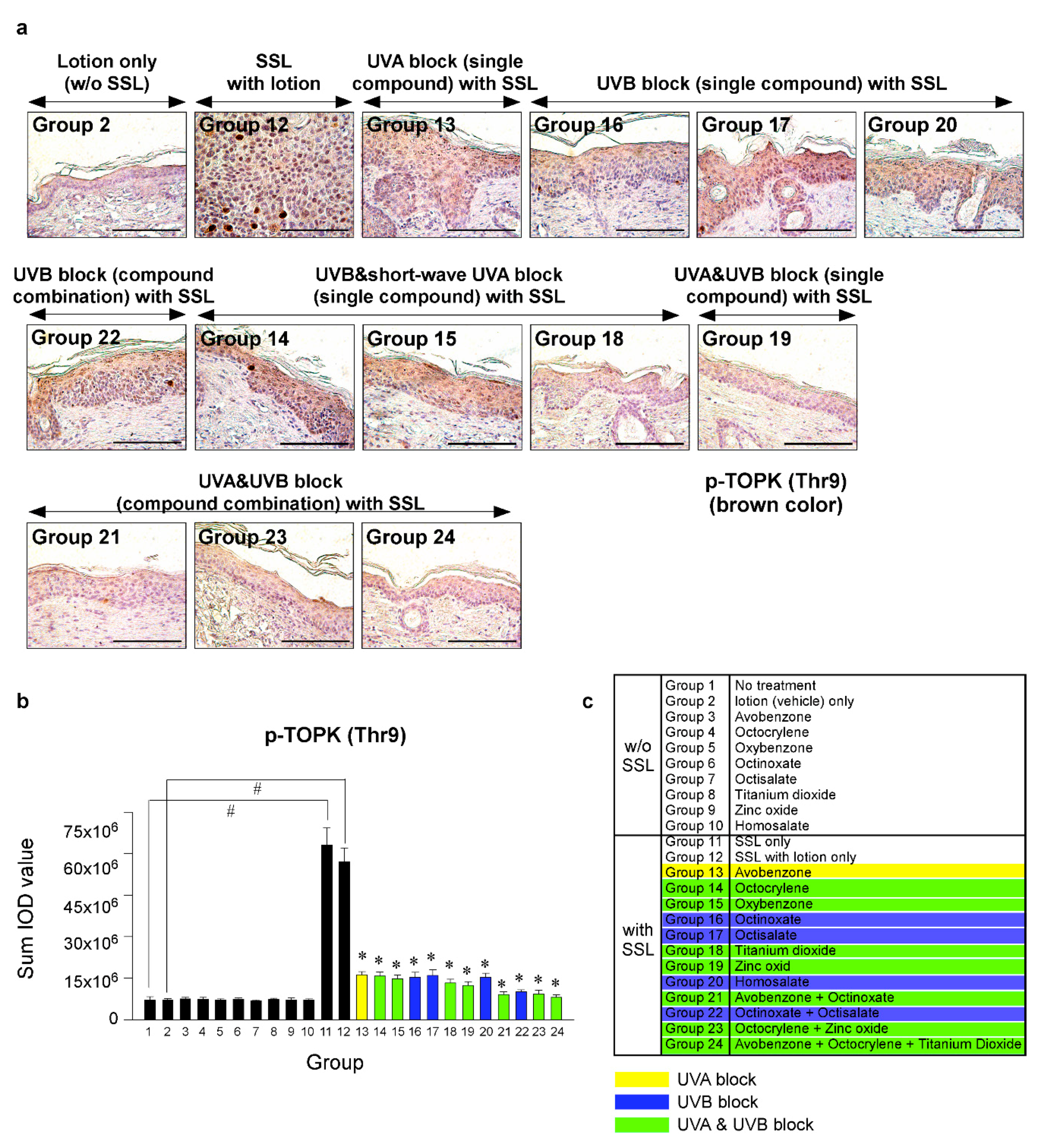 Cells 09 01674 g005 Cells 09 01674 g005