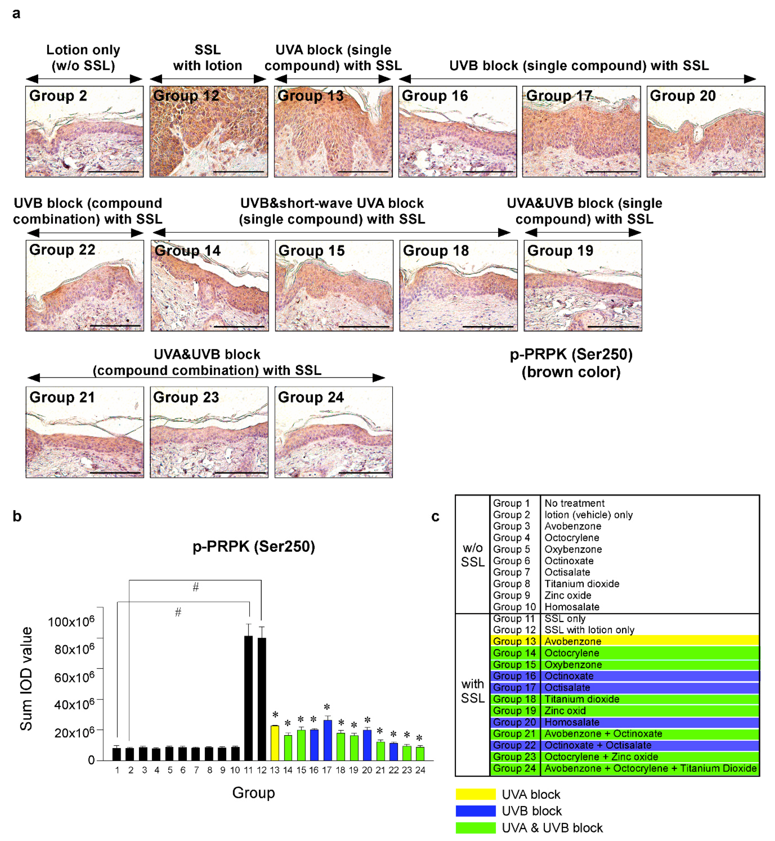 Cells 09 01674 g006 Cells 09 01674 g006