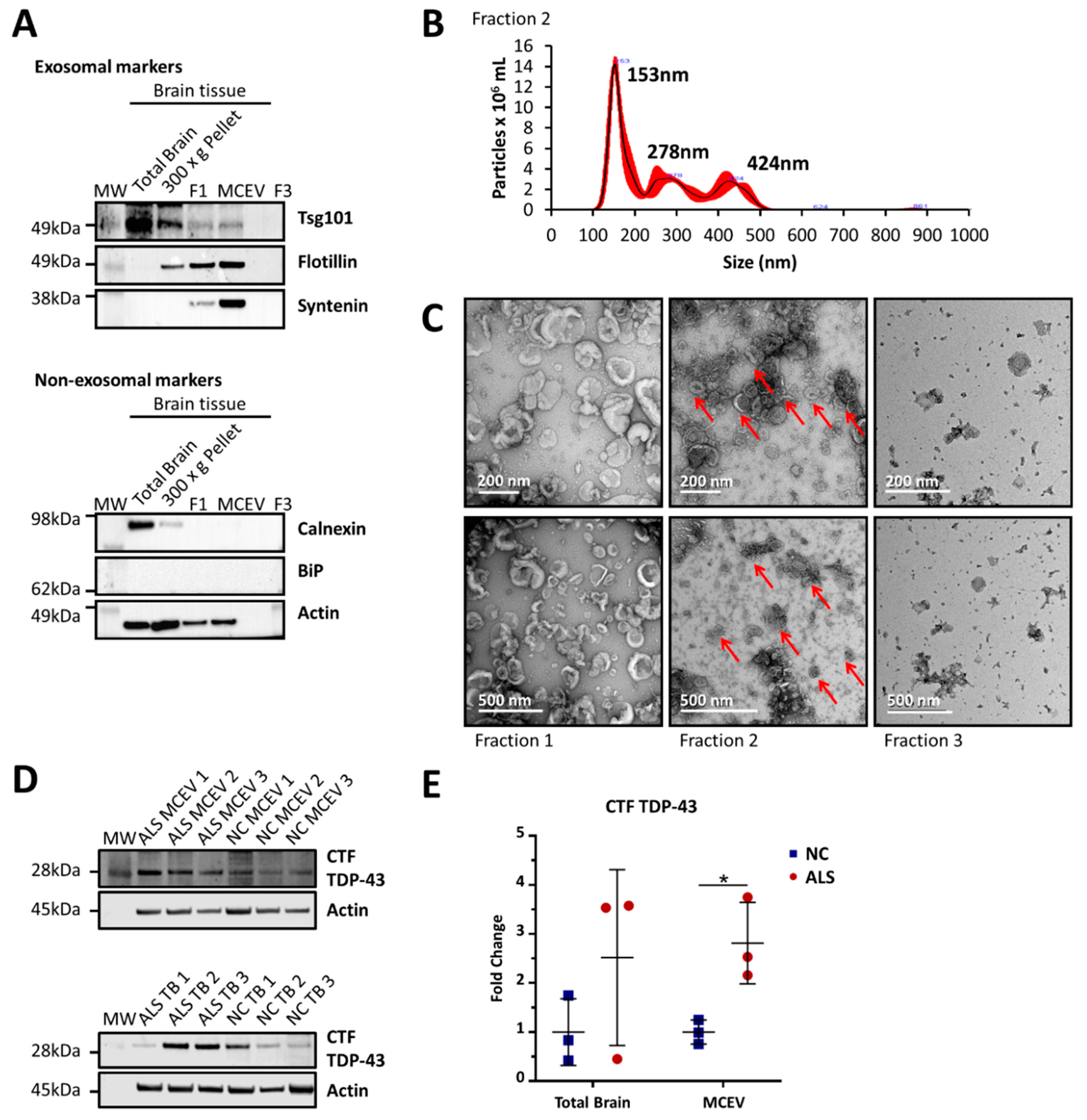 Cells 09 01709 g001 Cells 09 01709 g001