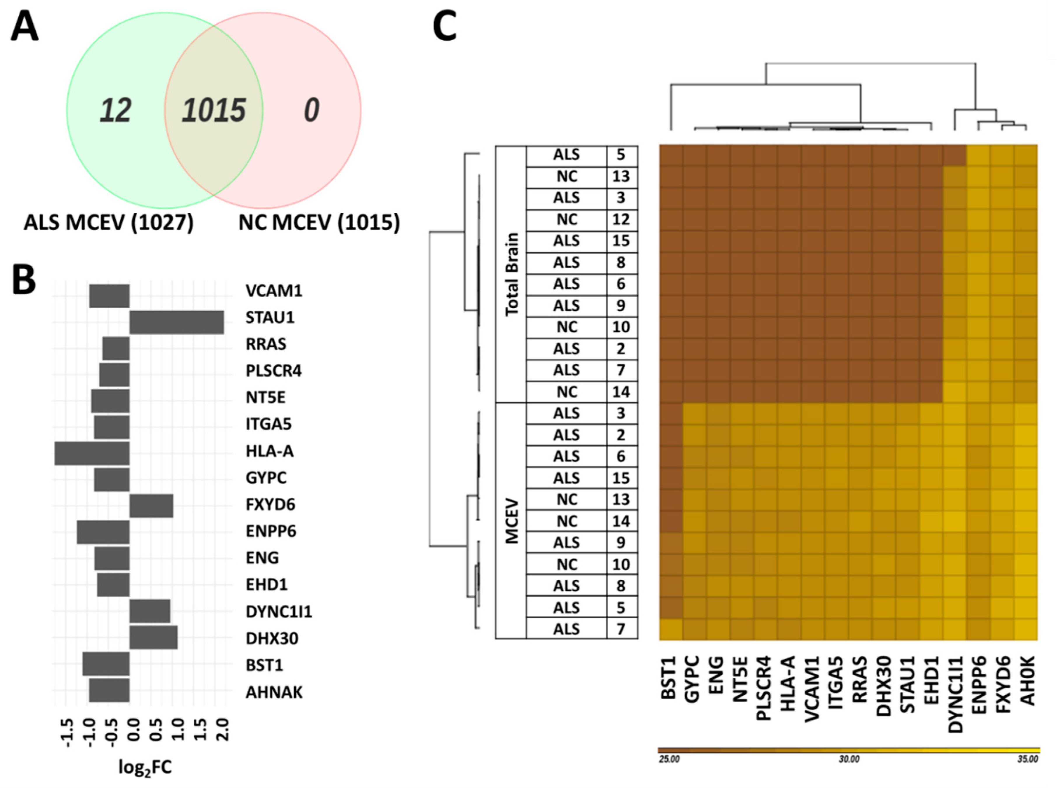 Cells 09 01709 g003 Cells 09 01709 g003