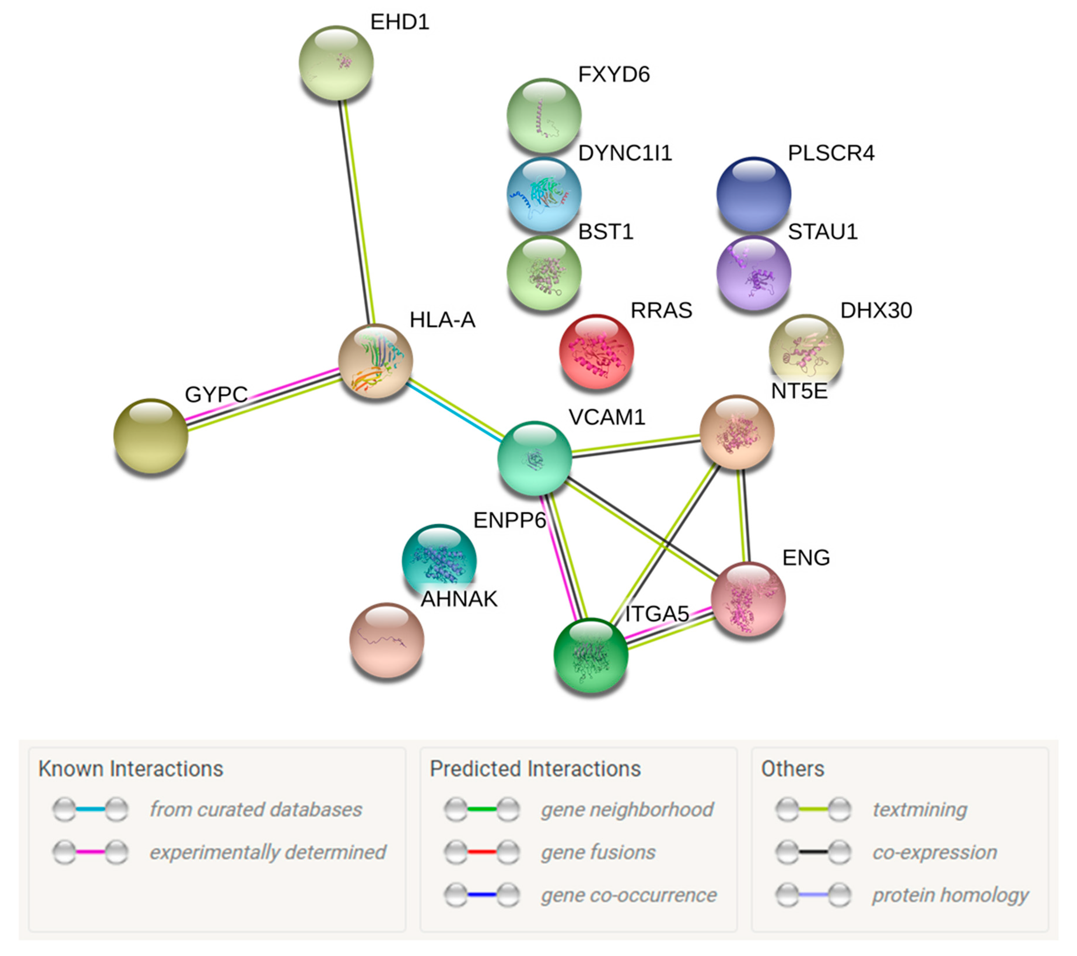 Cells 09 01709 g004 Cells 09 01709 g004