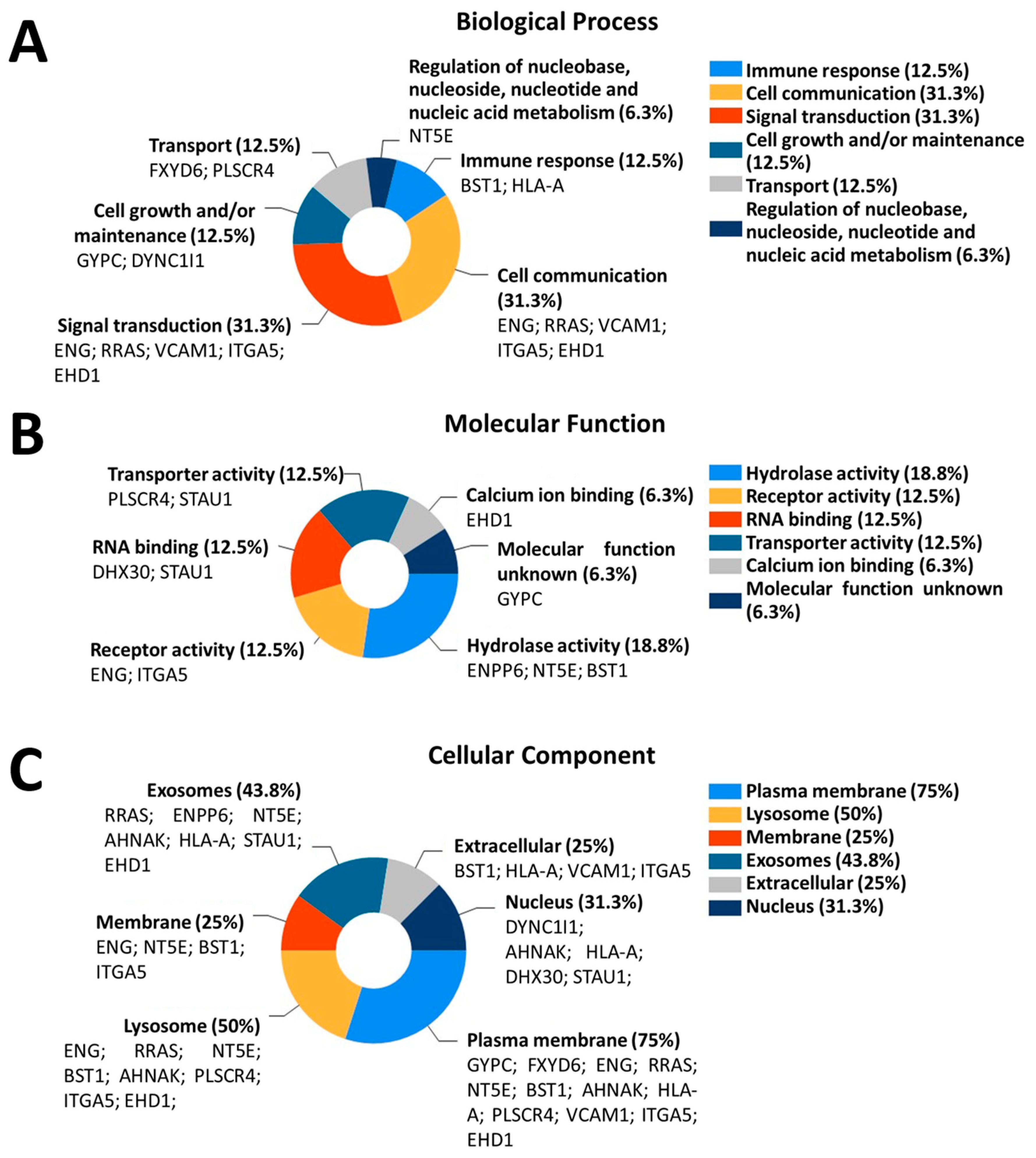 Cells 09 01709 g005 Cells 09 01709 g005