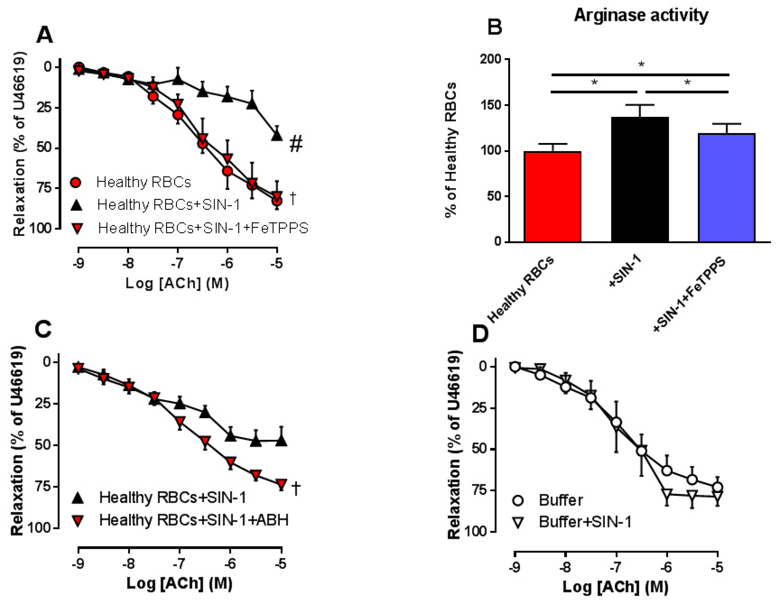 Cells 09 01712 g002 Cells 09 01712 g002