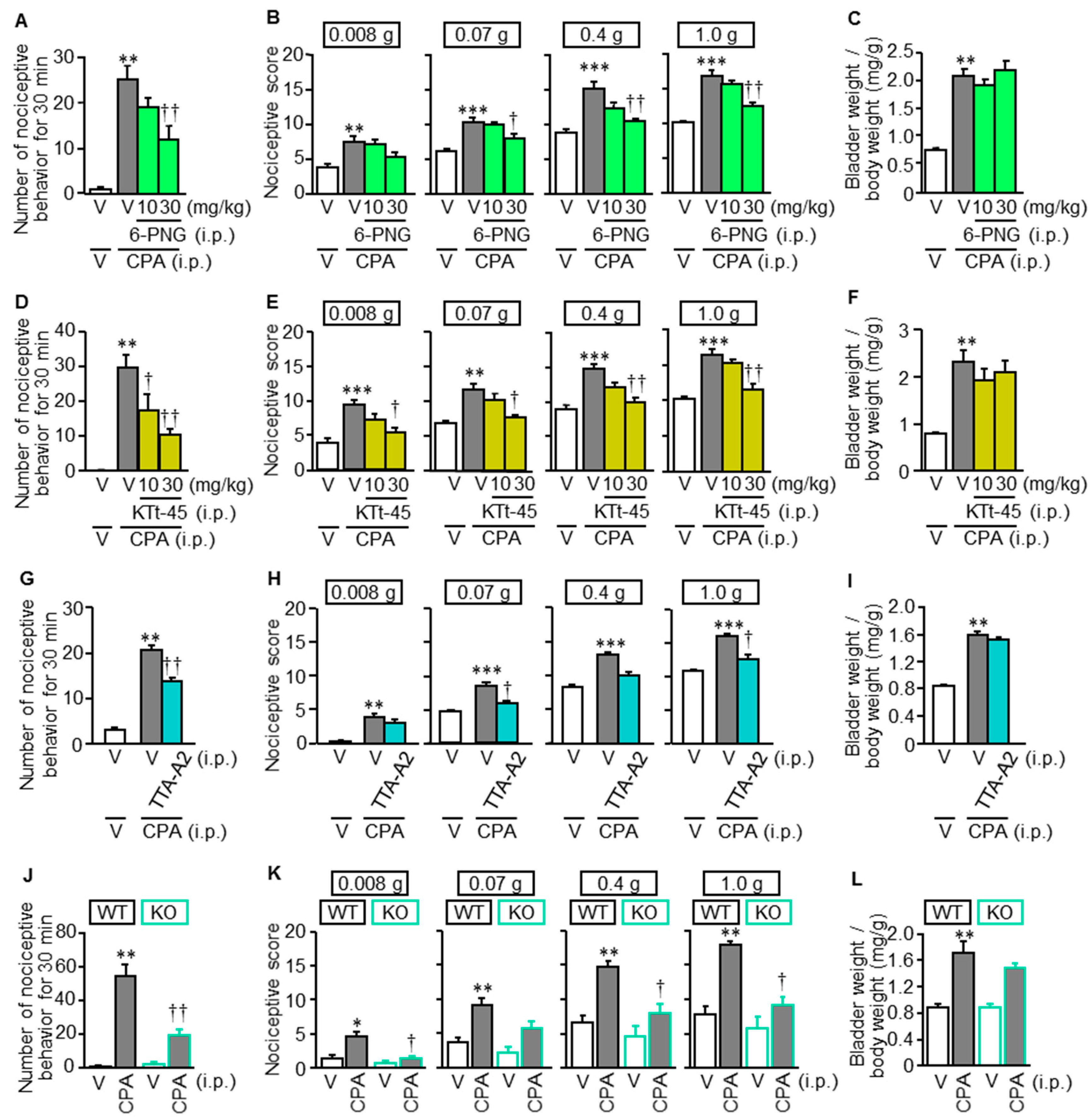 Cells 09 01748 g001 Cells 09 01748 g001
