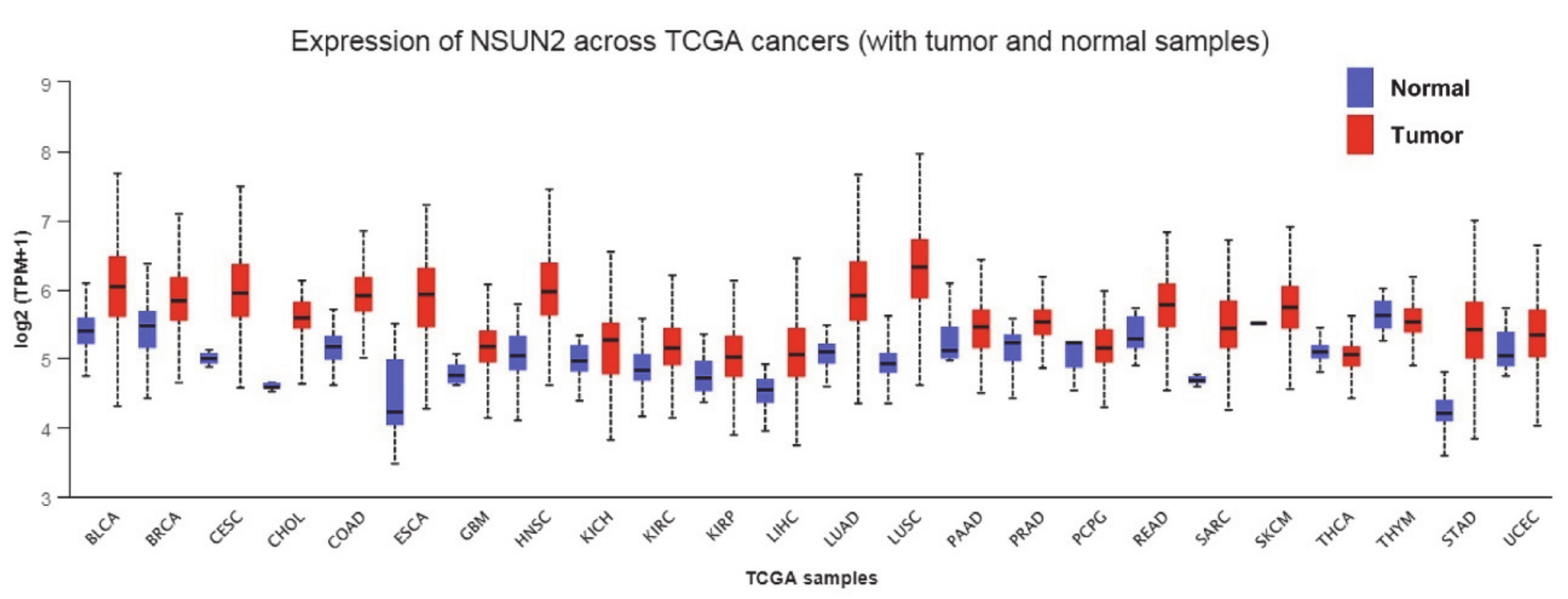 Cells 09 01758 g002 Cells 09 01758 g002