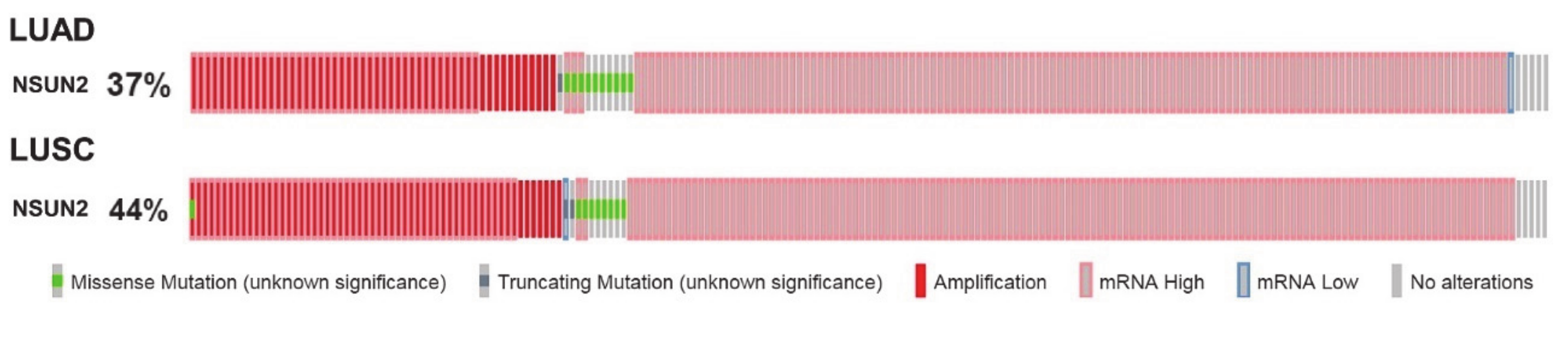 Cells 09 01758 g003 Cells 09 01758 g003
