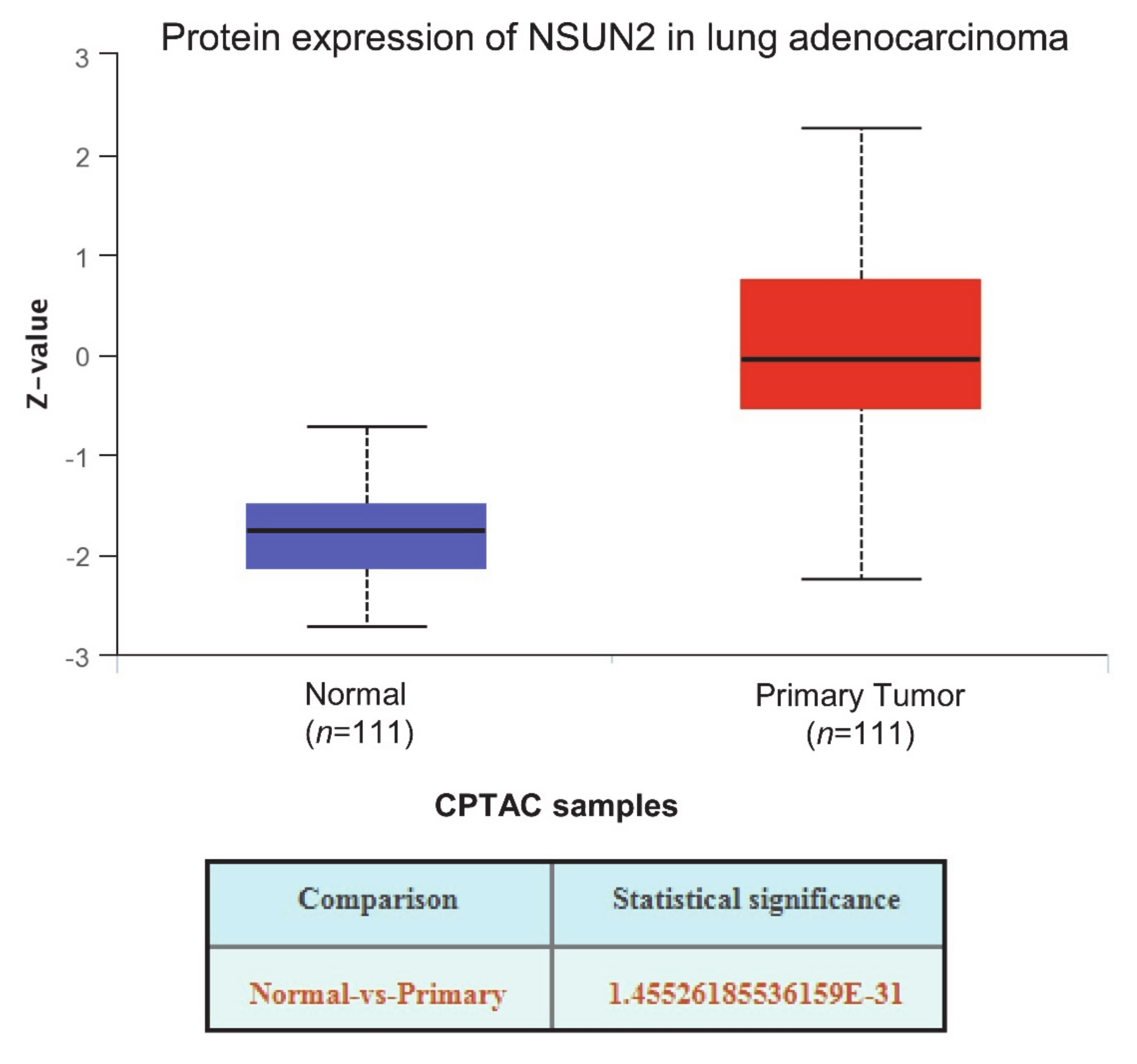 Cells 09 01758 g005 Cells 09 01758 g005
