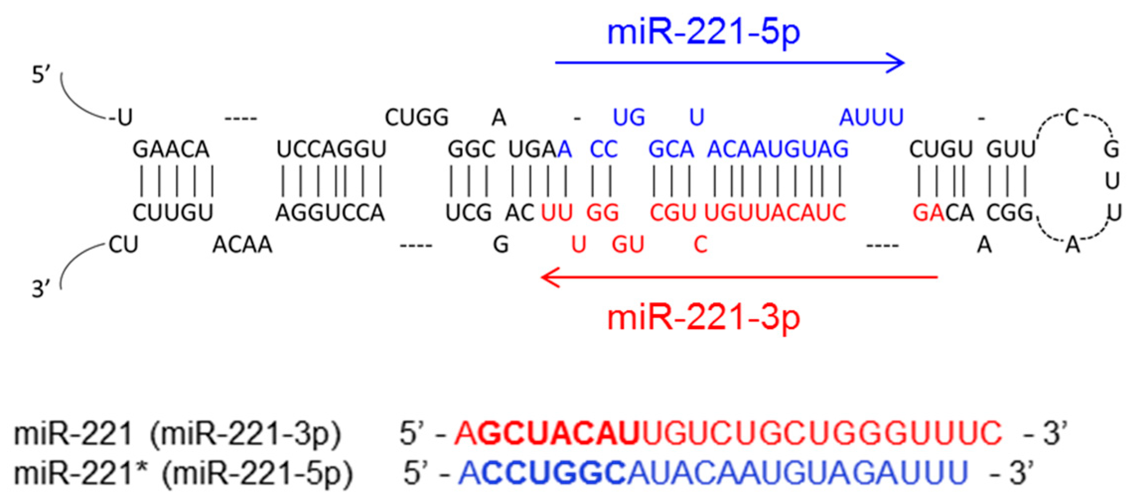 Cells 09 01767 g001 Cells 09 01767 g001