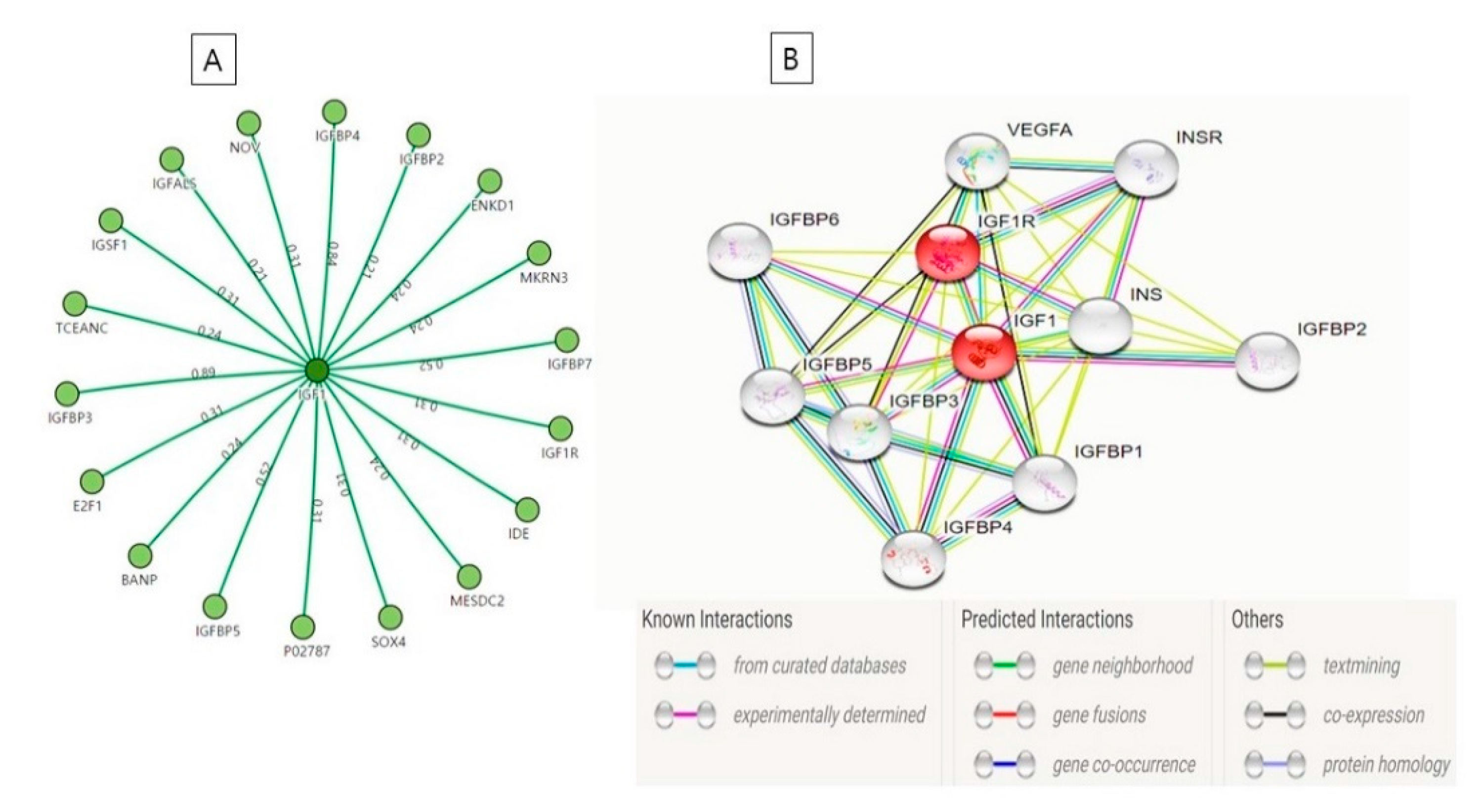 Cells 09 01773 g003 Cells 09 01773 g003
