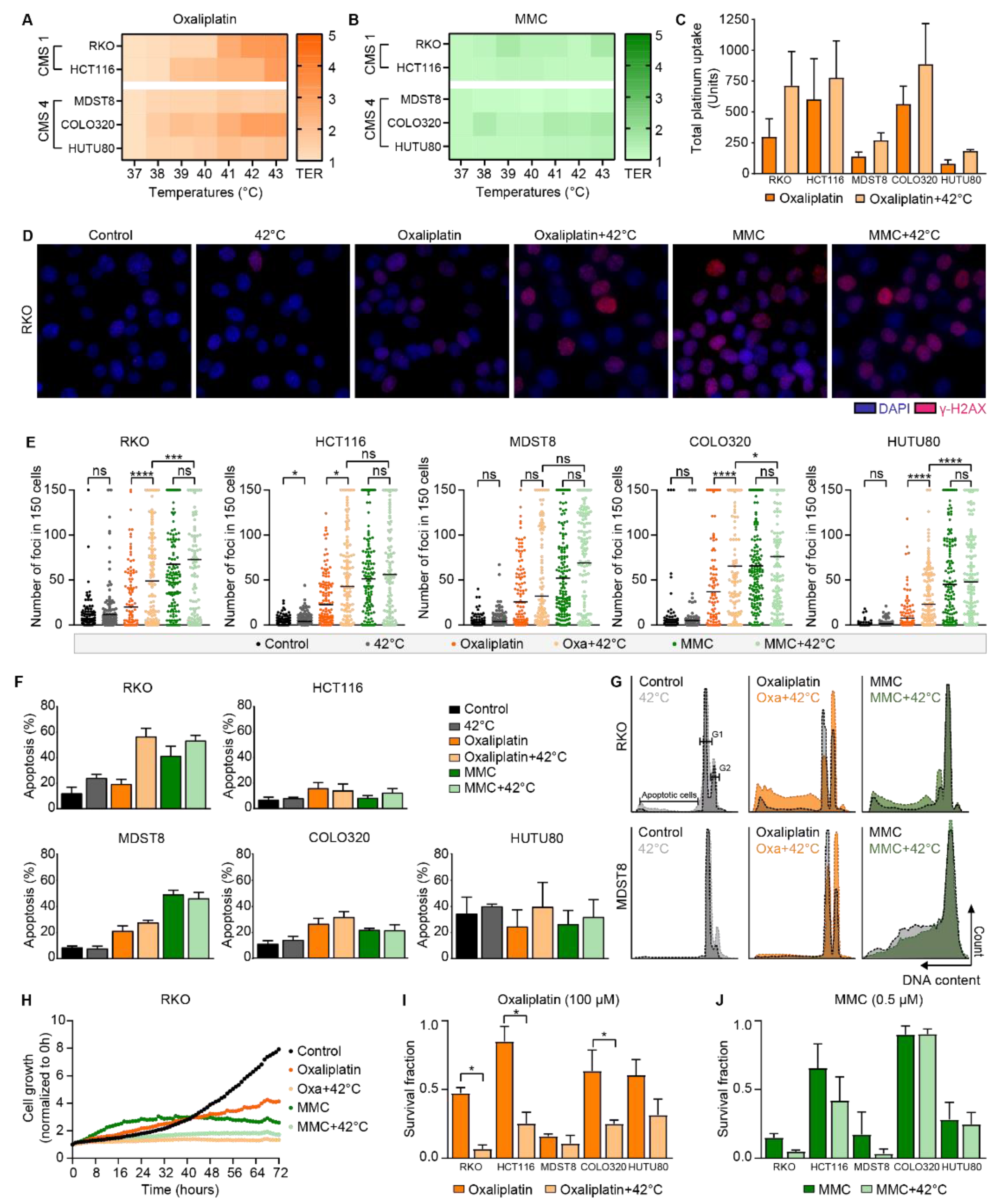 Cells 09 01775 g002 Cells 09 01775 g002
