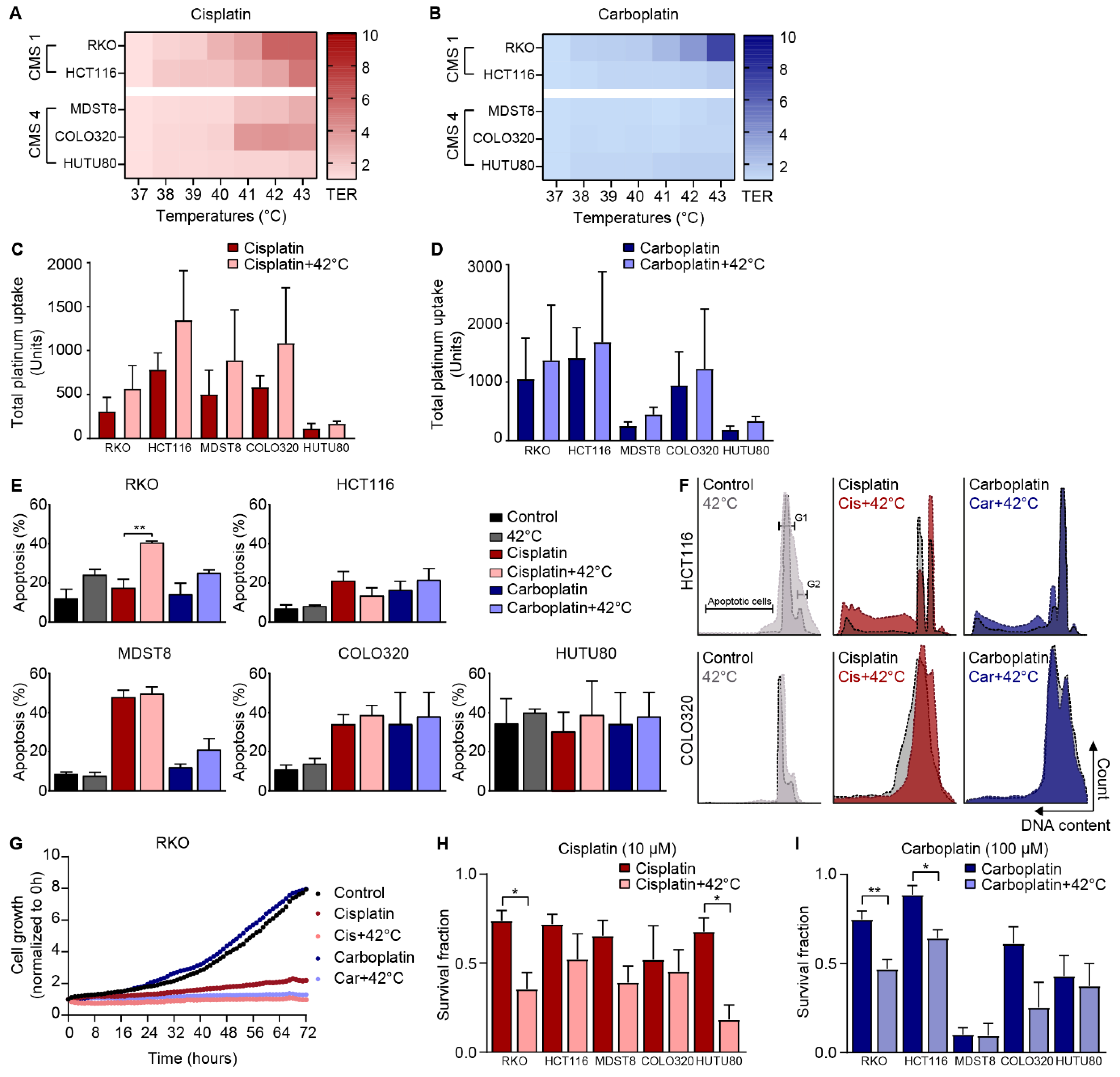 Cells 09 01775 g003 Cells 09 01775 g003