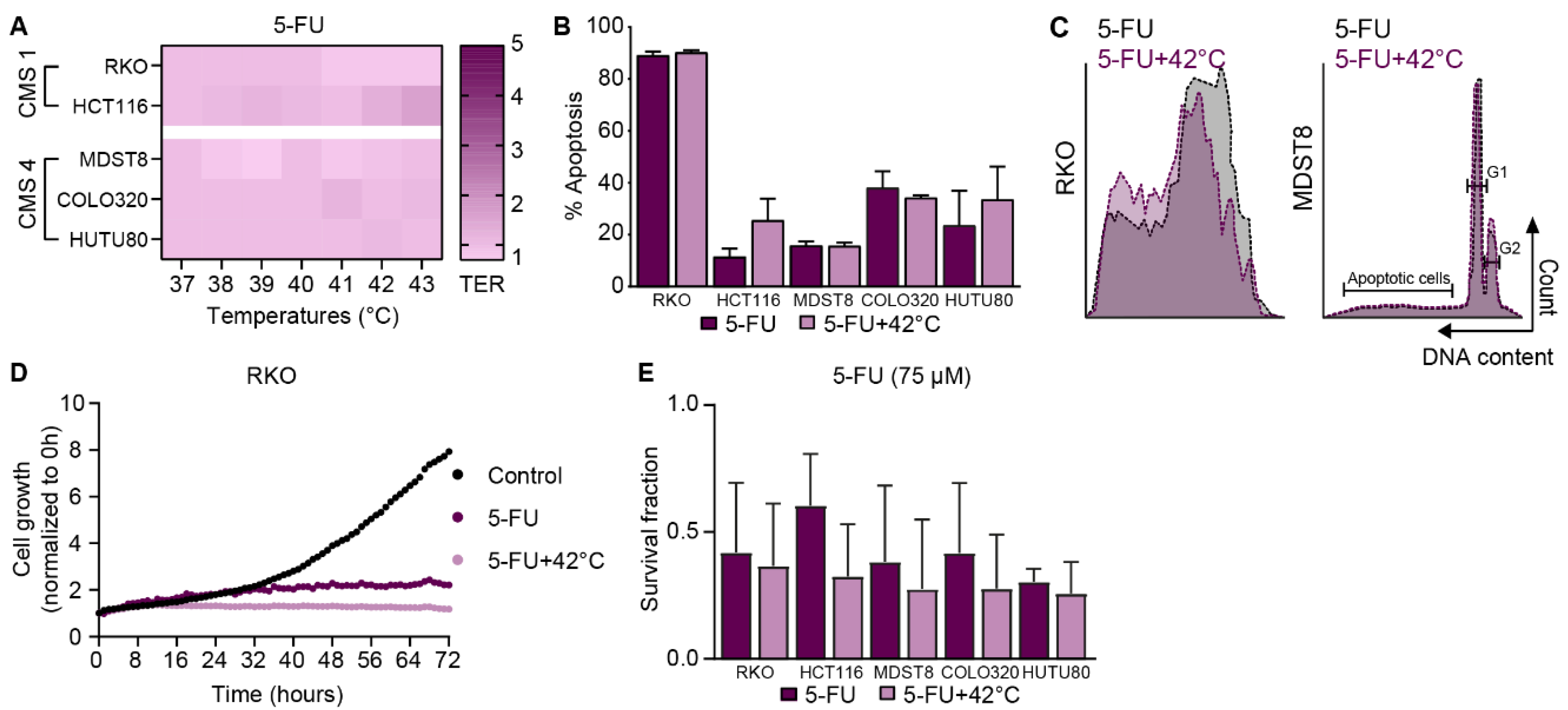 Cells 09 01775 g004 Cells 09 01775 g004