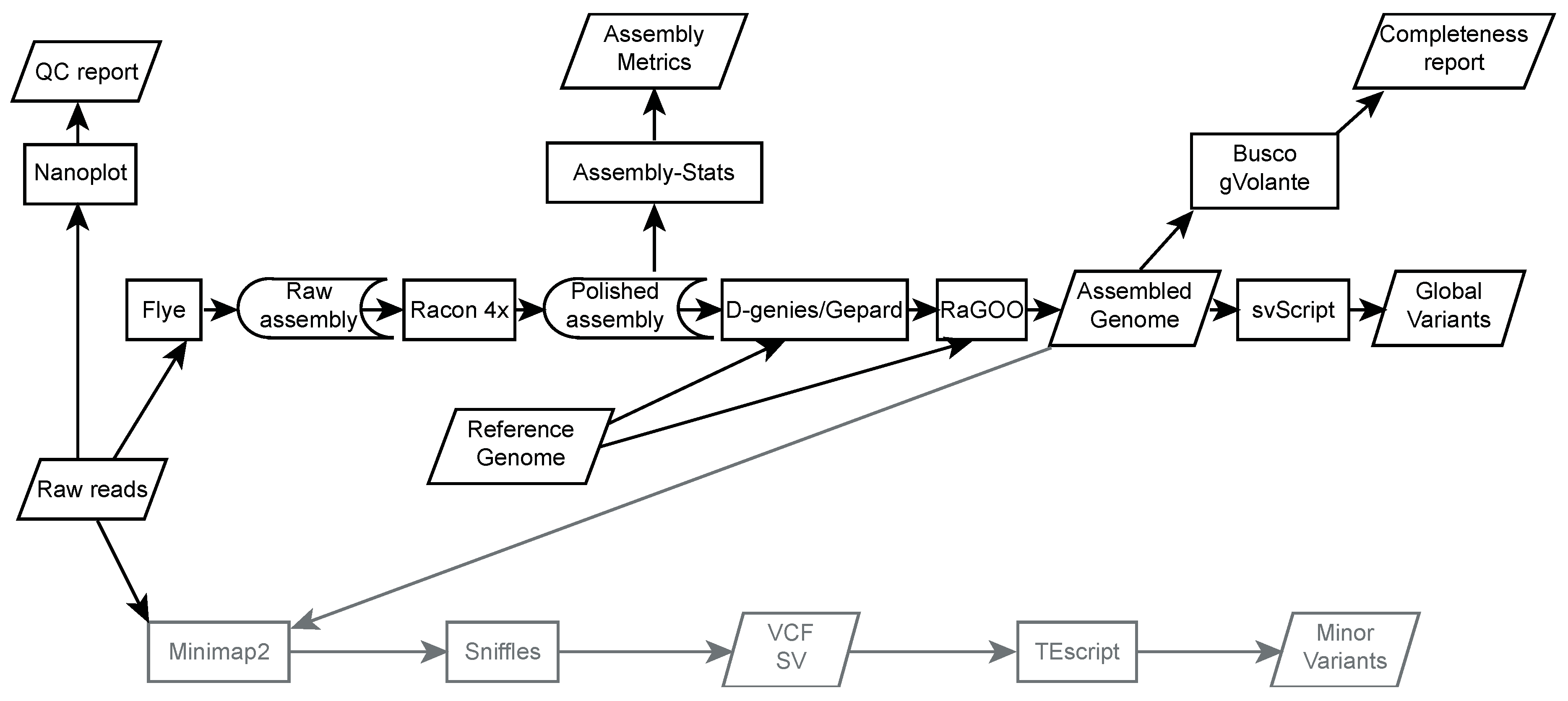Cells 09 01776 g001 Cells 09 01776 g001