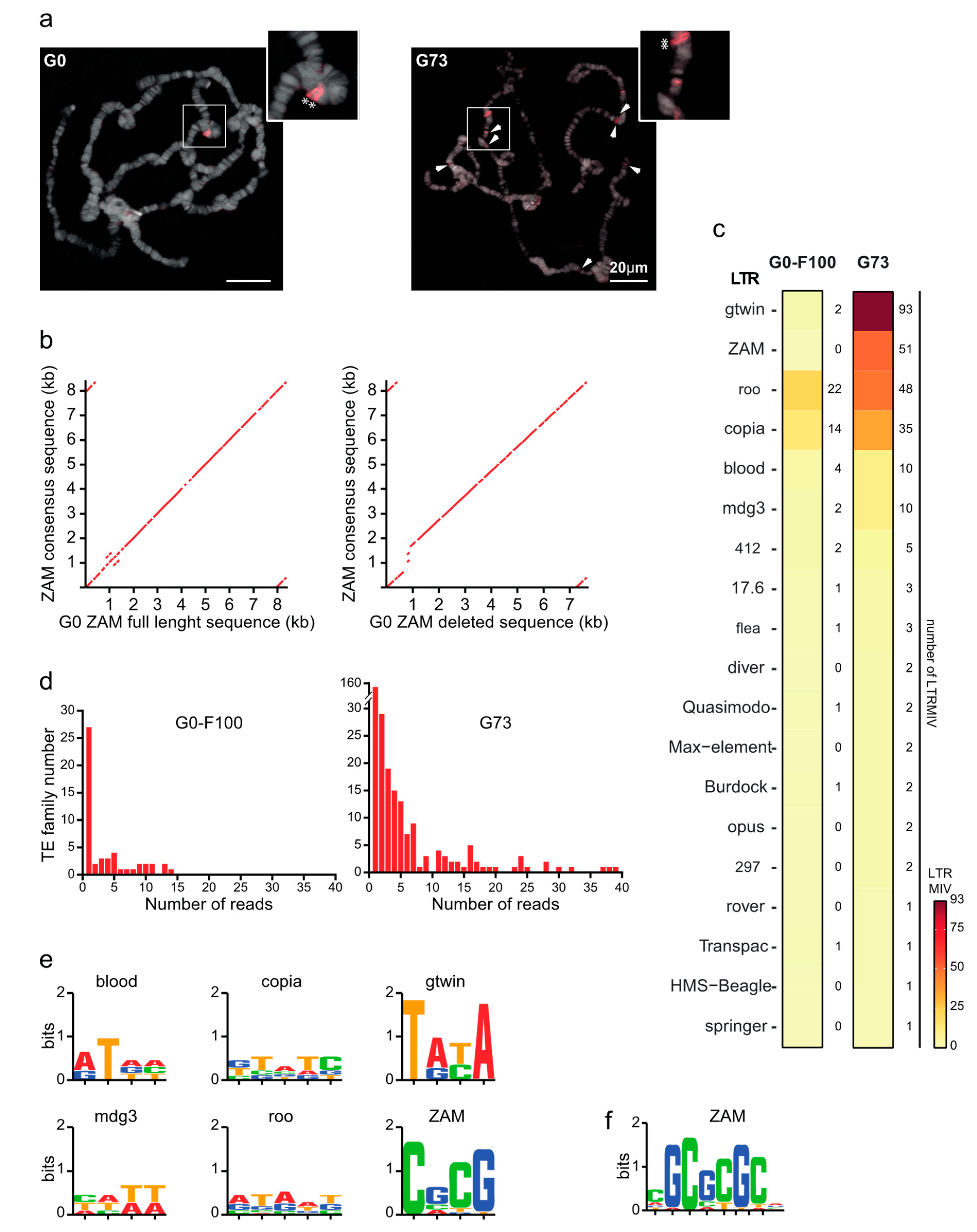 Cells 09 01776 g007 Cells 09 01776 g007