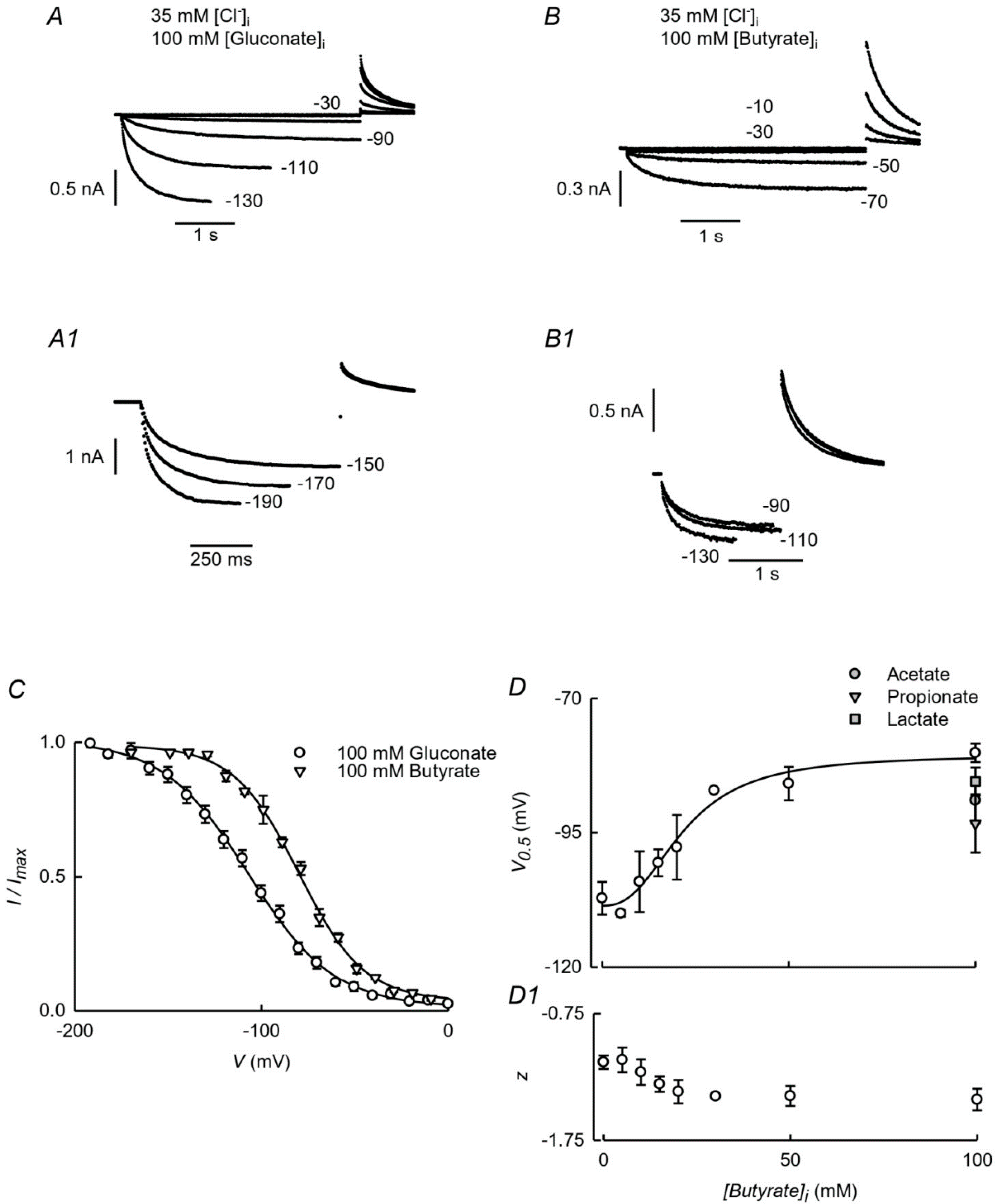 Cells 09 01781 g001 Cells 09 01781 g001