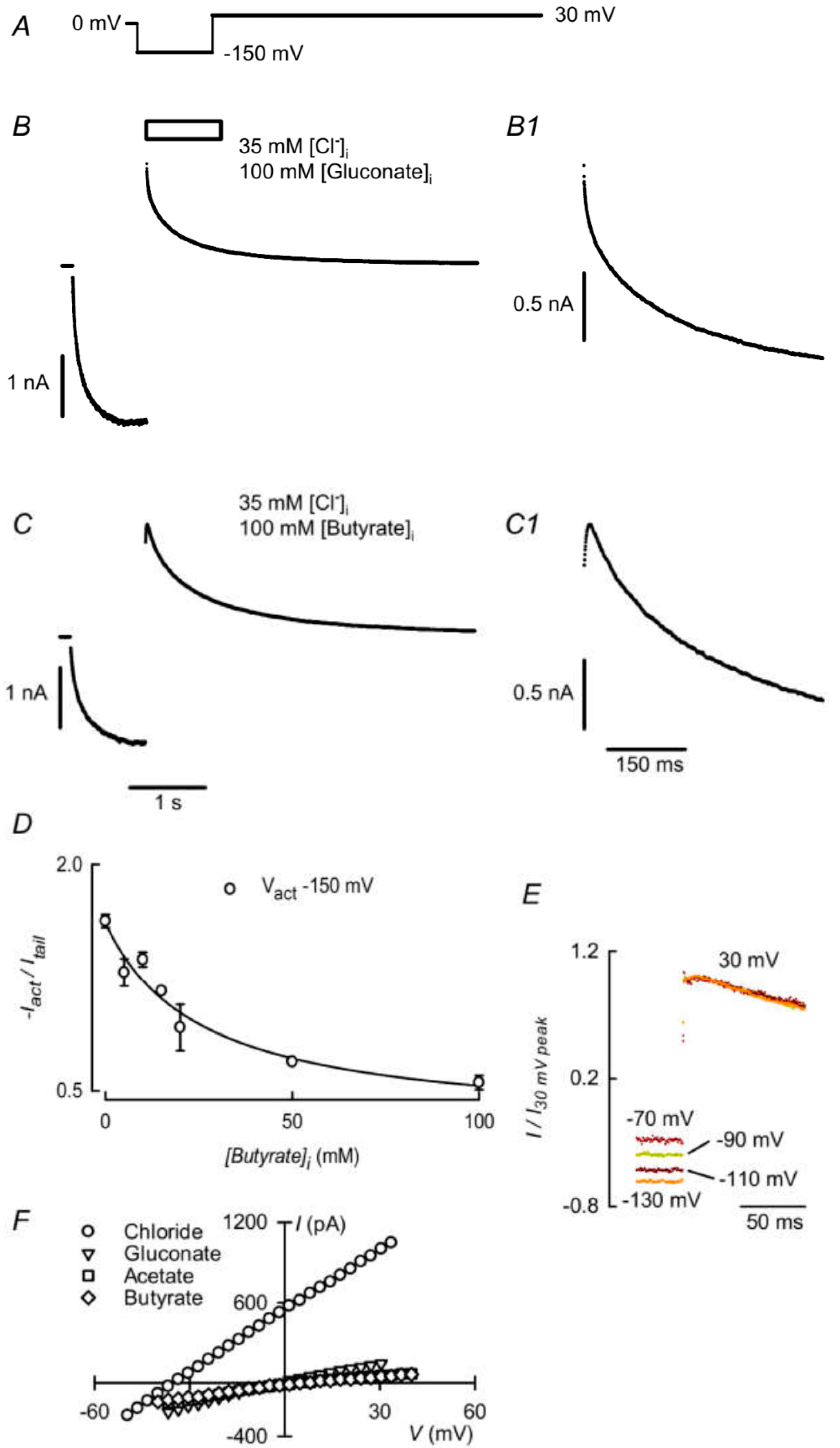 Cells 09 01781 g002 Cells 09 01781 g002