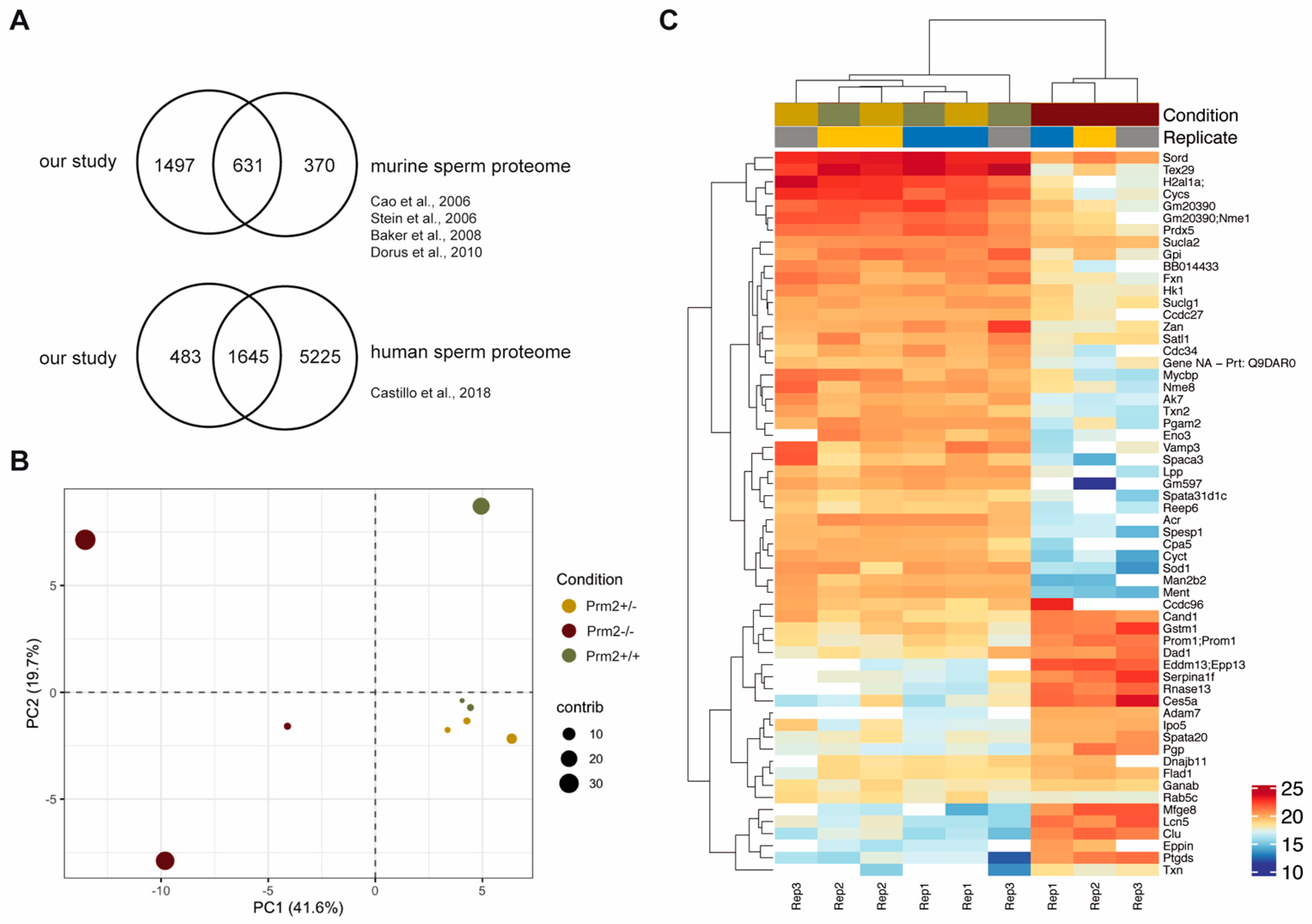 Cells 09 01789 g001 Cells 09 01789 g001