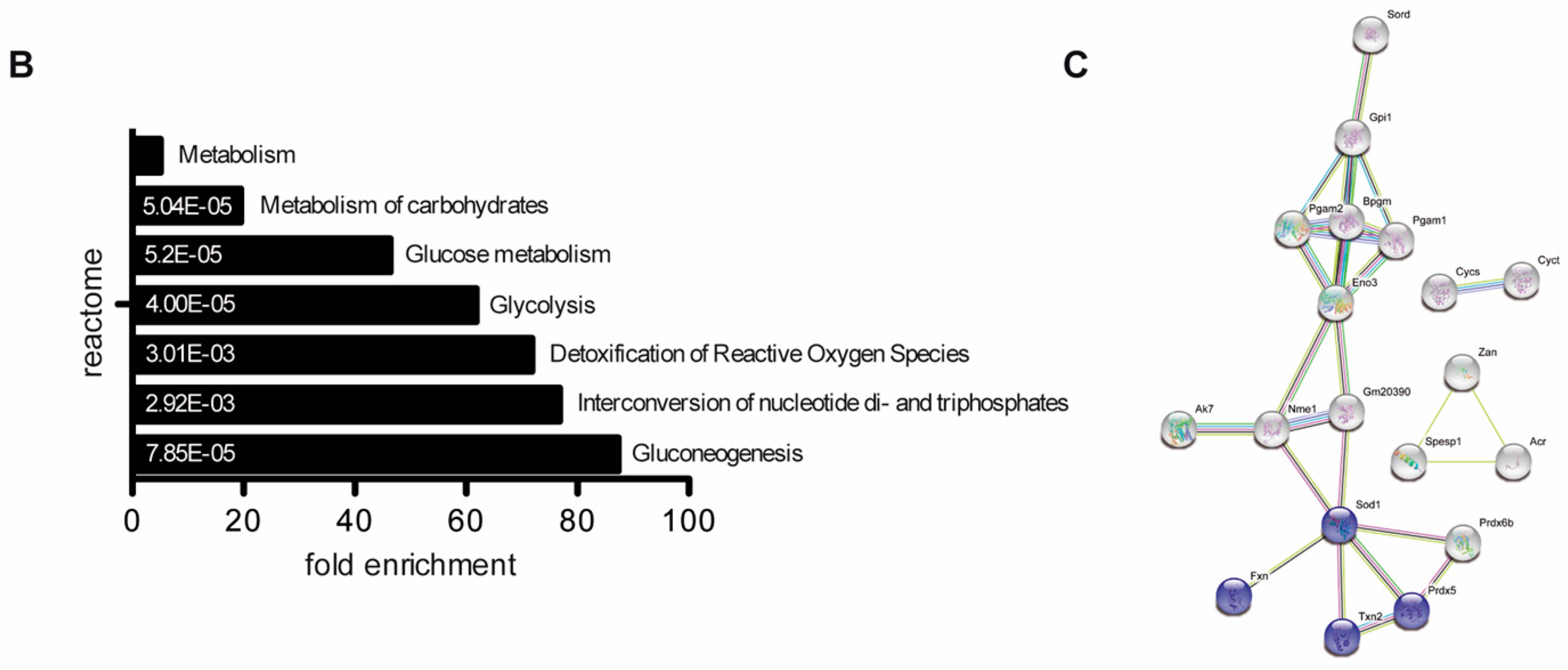 Cells 09 01789 g002b Cells 09 01789 g002b