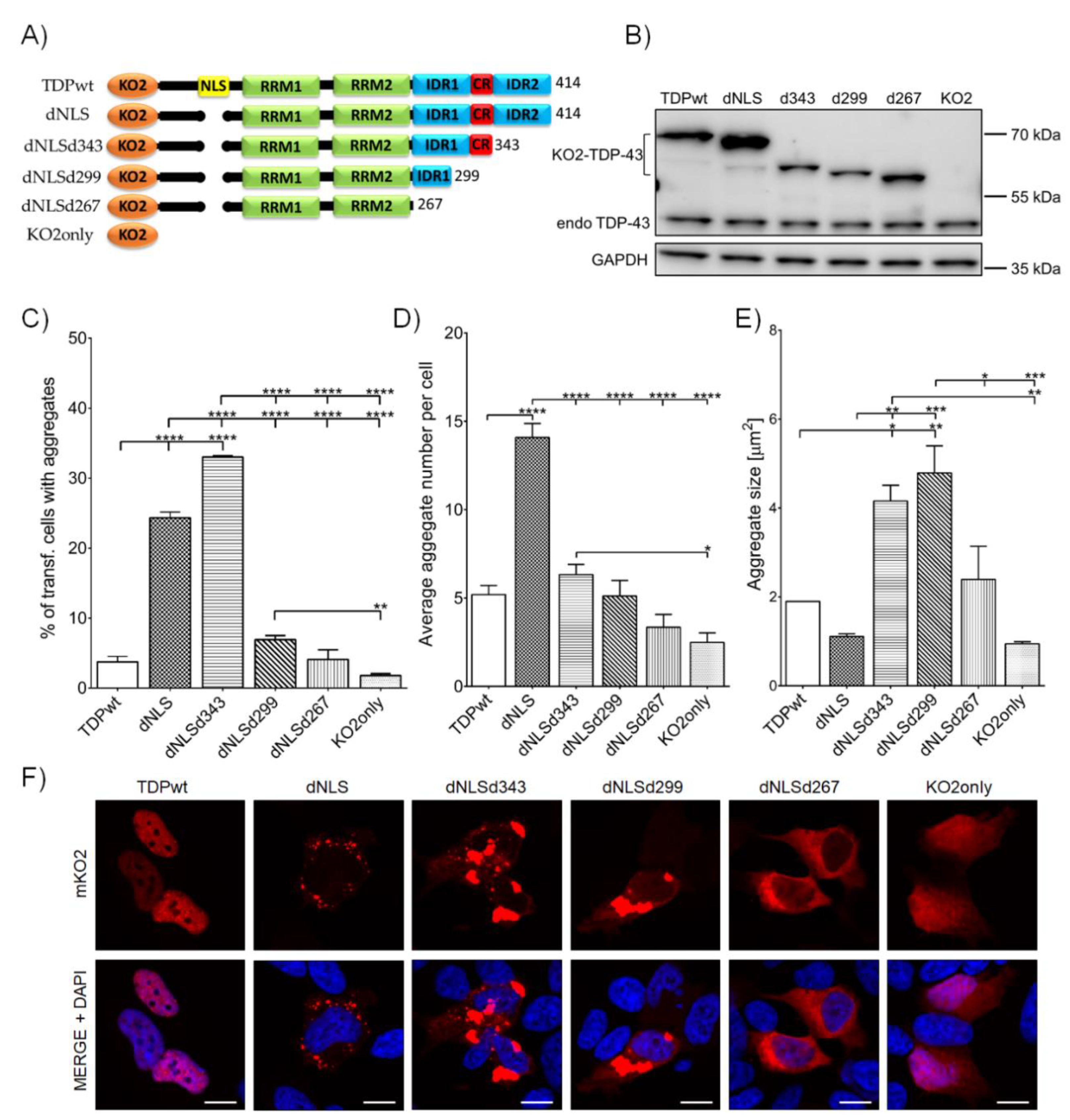 Cells 09 01791 g001 Cells 09 01791 g001