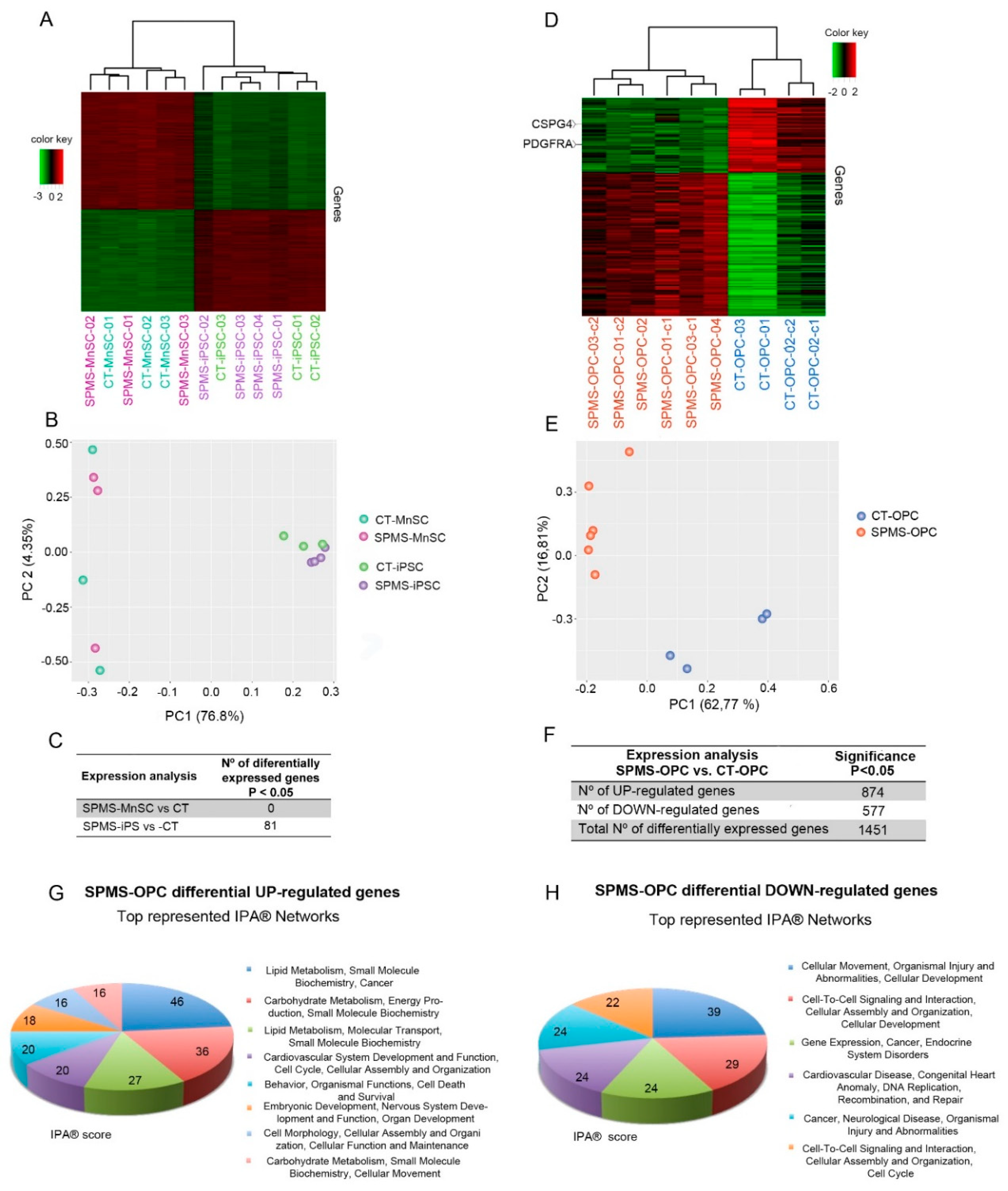 Cells 09 01803 g003 Cells 09 01803 g003
