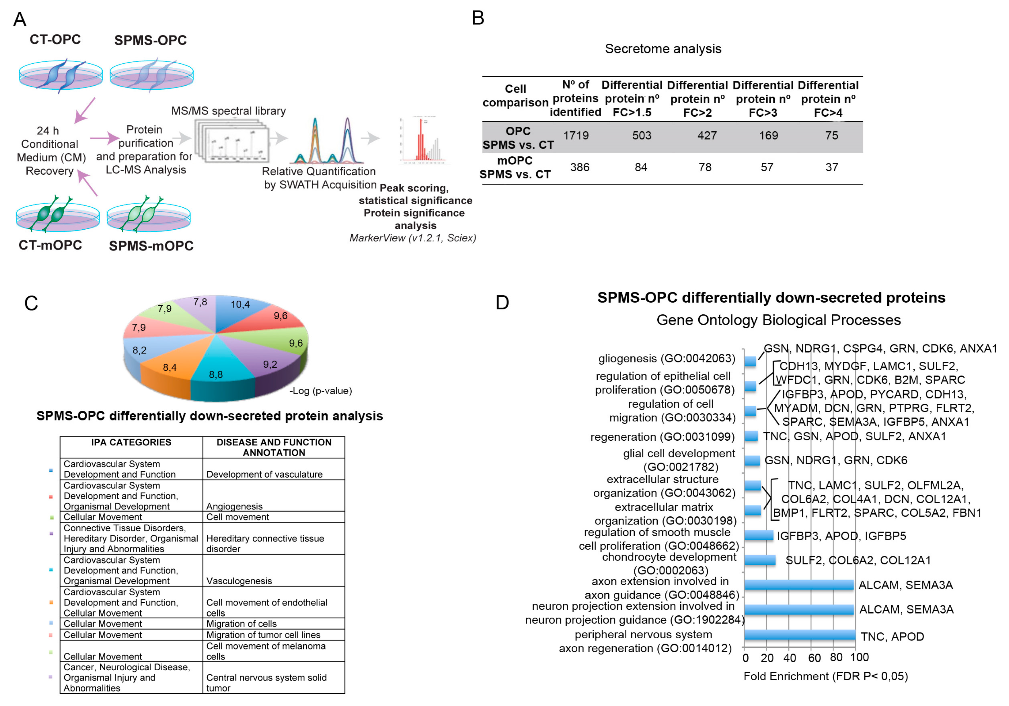 Cells 09 01803 g004 Cells 09 01803 g004