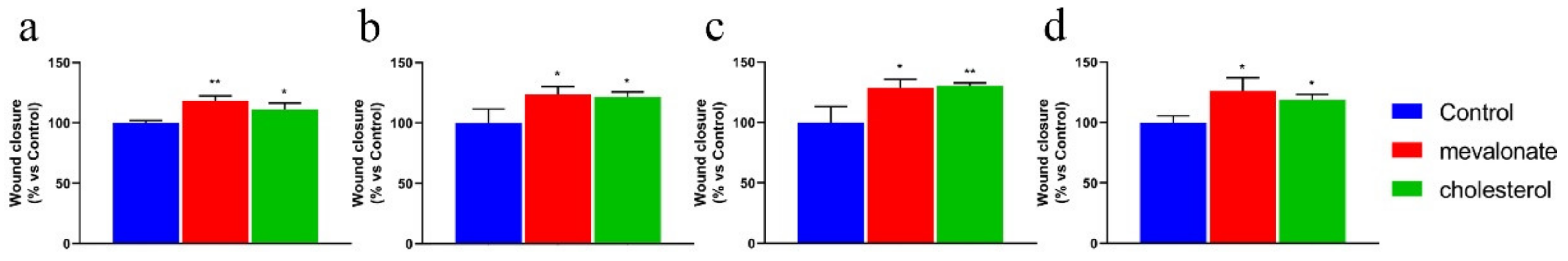 Cells 09 01819 g005 Cells 09 01819 g005