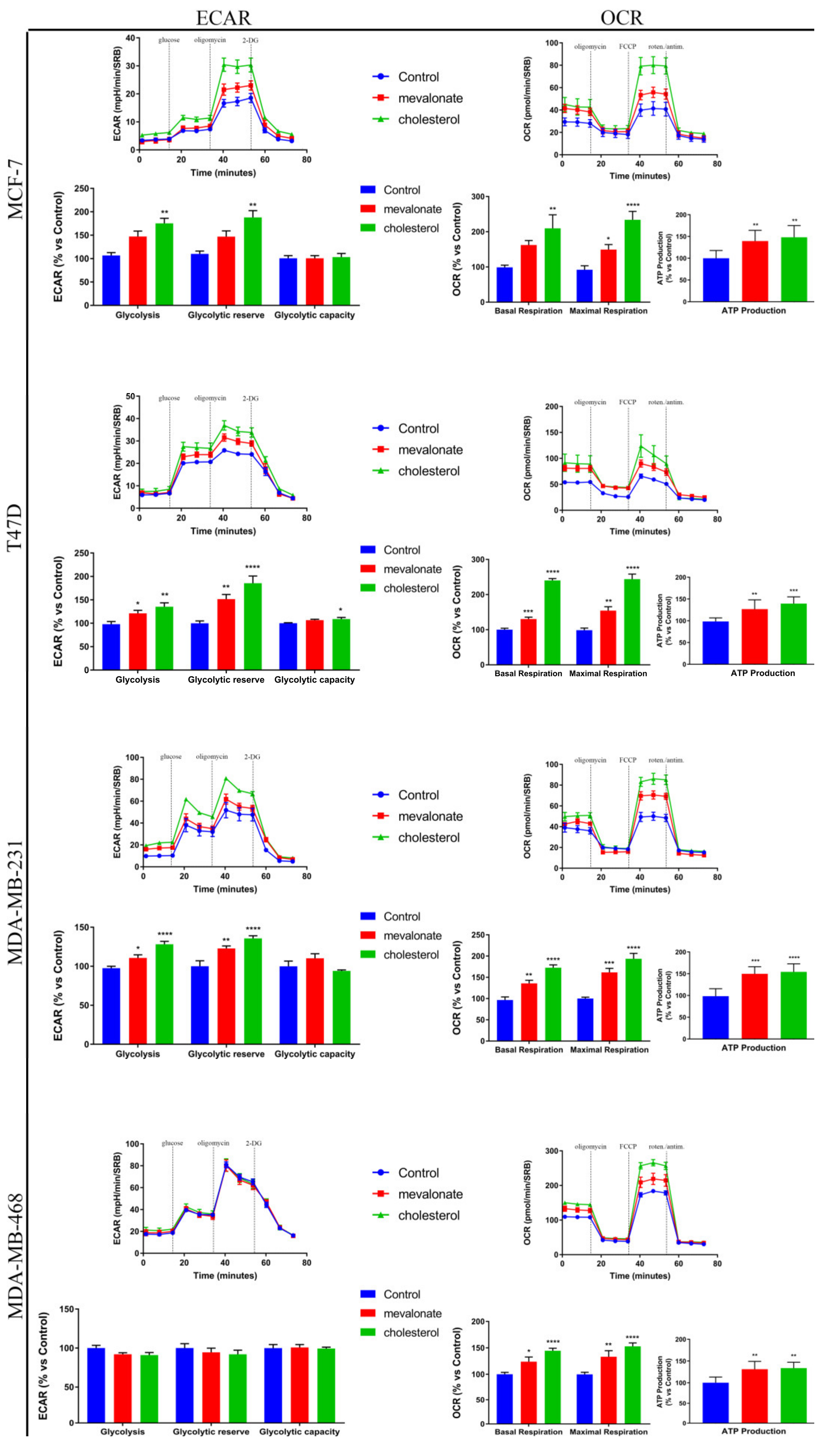 Cells 09 01819 g006 Cells 09 01819 g006