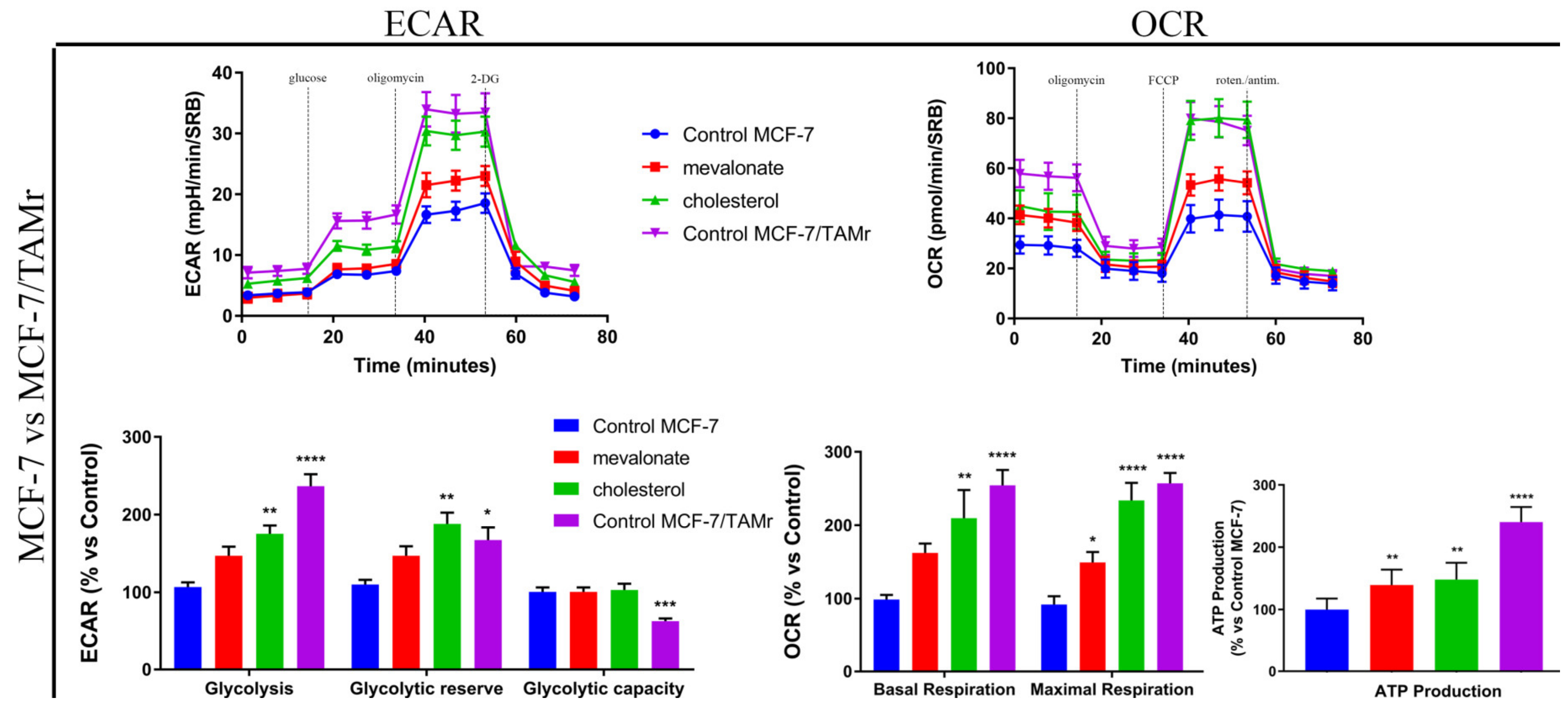 Cells 09 01819 g008 Cells 09 01819 g008