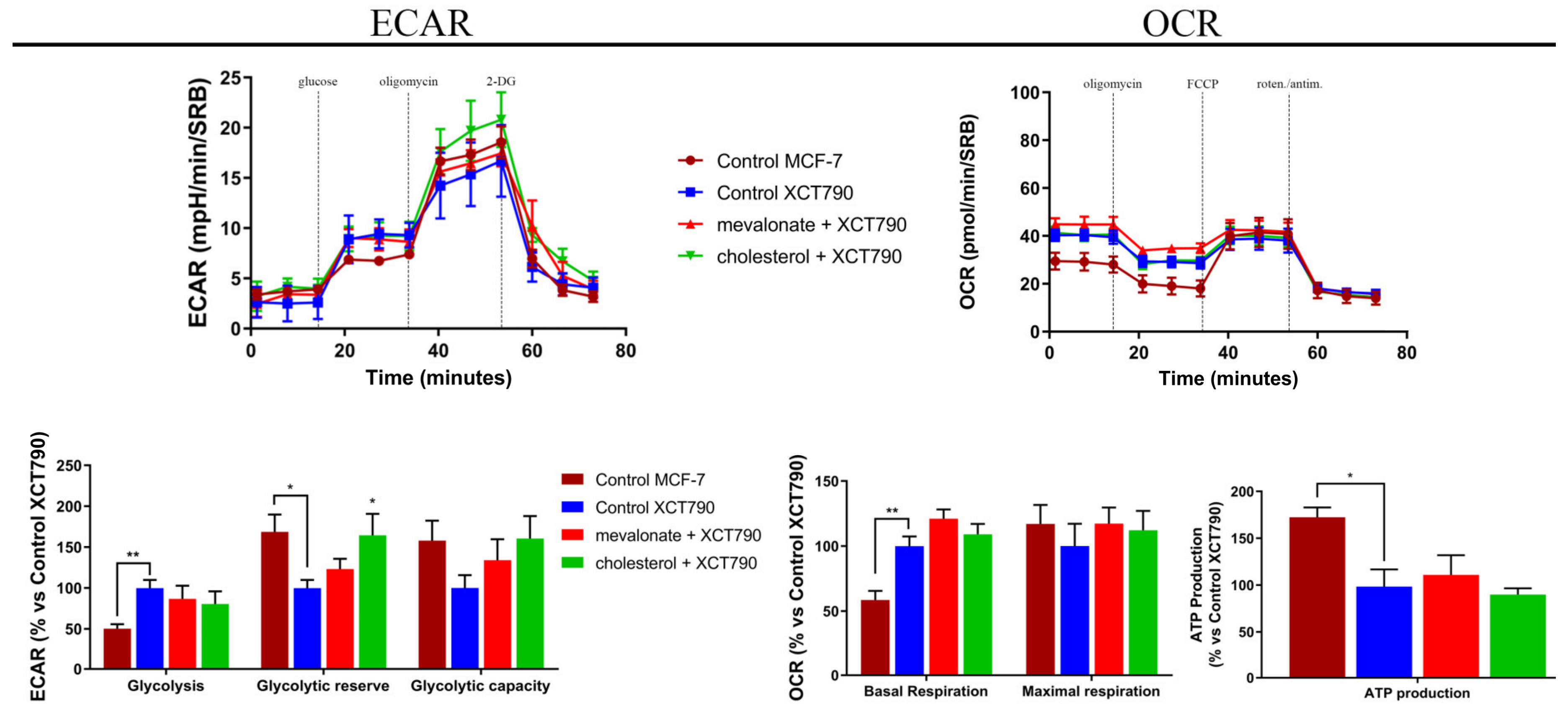 Cells 09 01819 g010 Cells 09 01819 g010