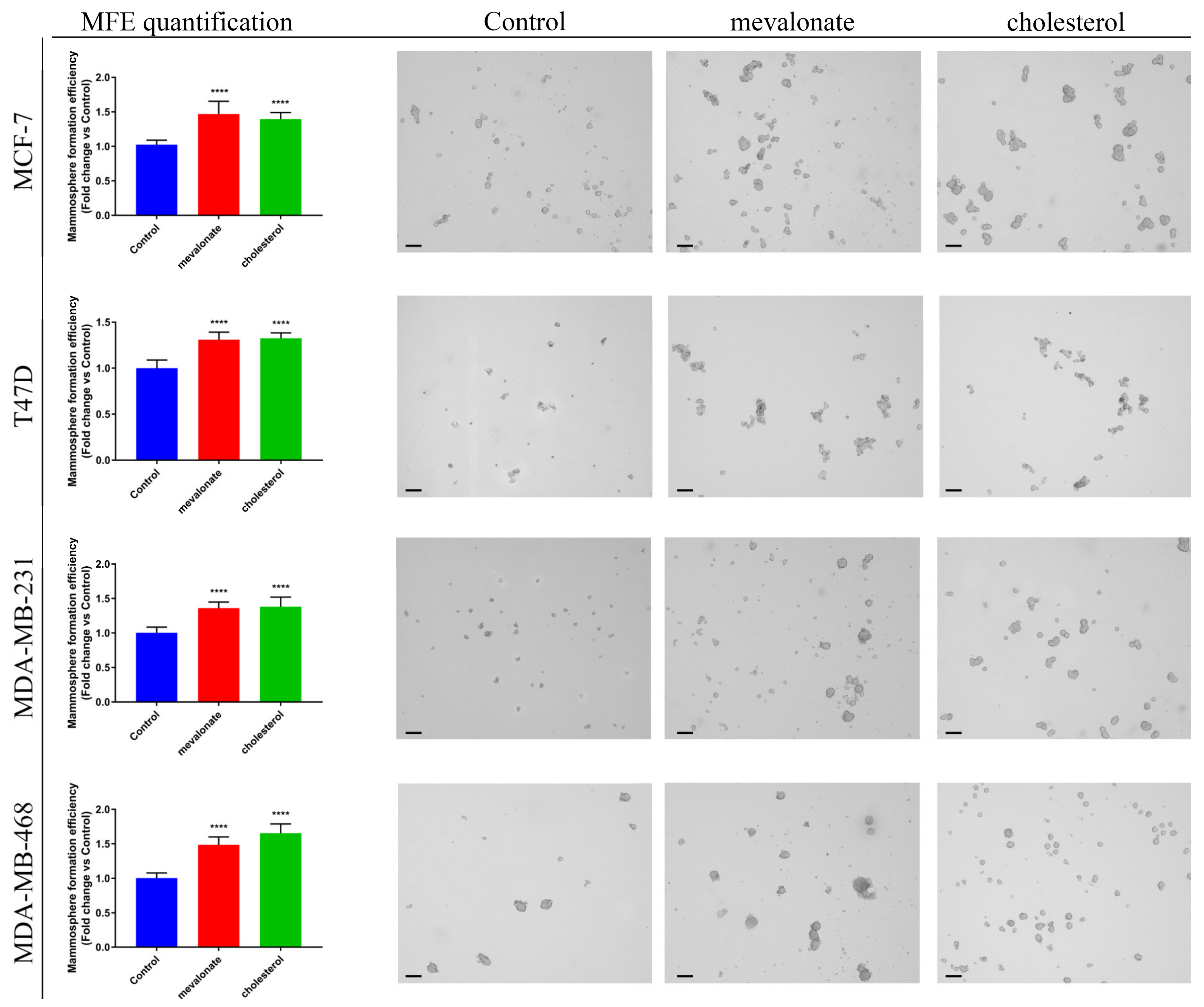Cells 09 01819 g011 Cells 09 01819 g011