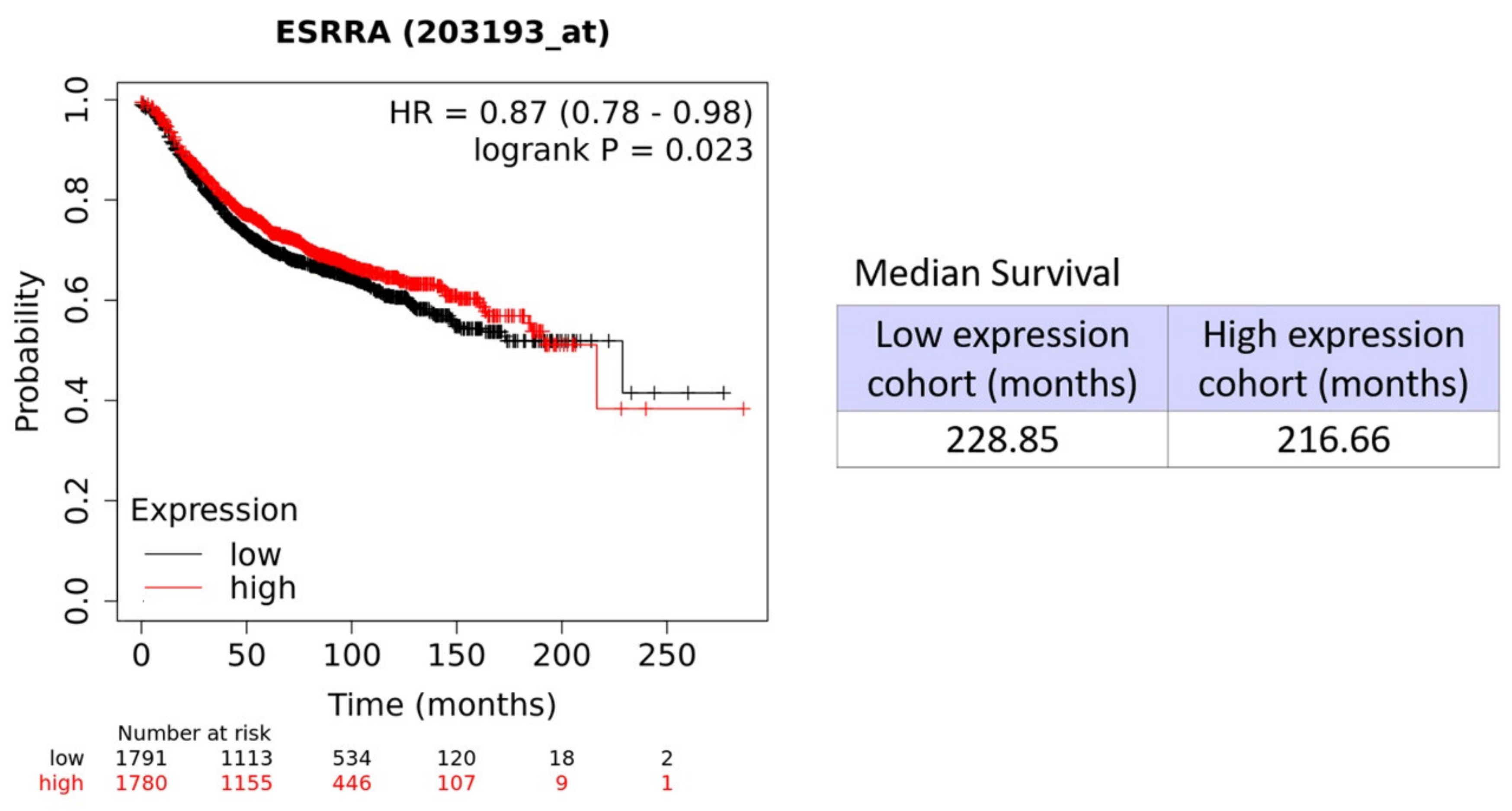 Cells 09 01819 g015 Cells 09 01819 g015