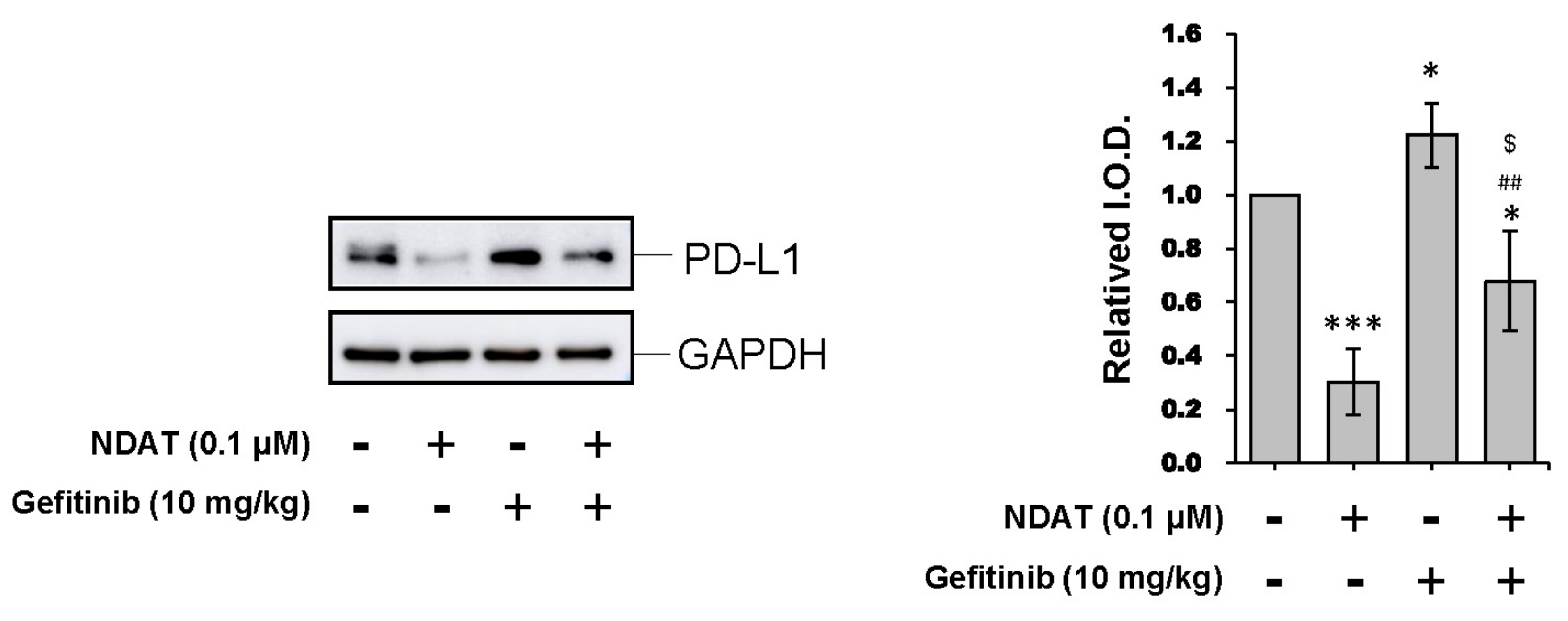 Cells 09 01830 g008 Cells 09 01830 g008