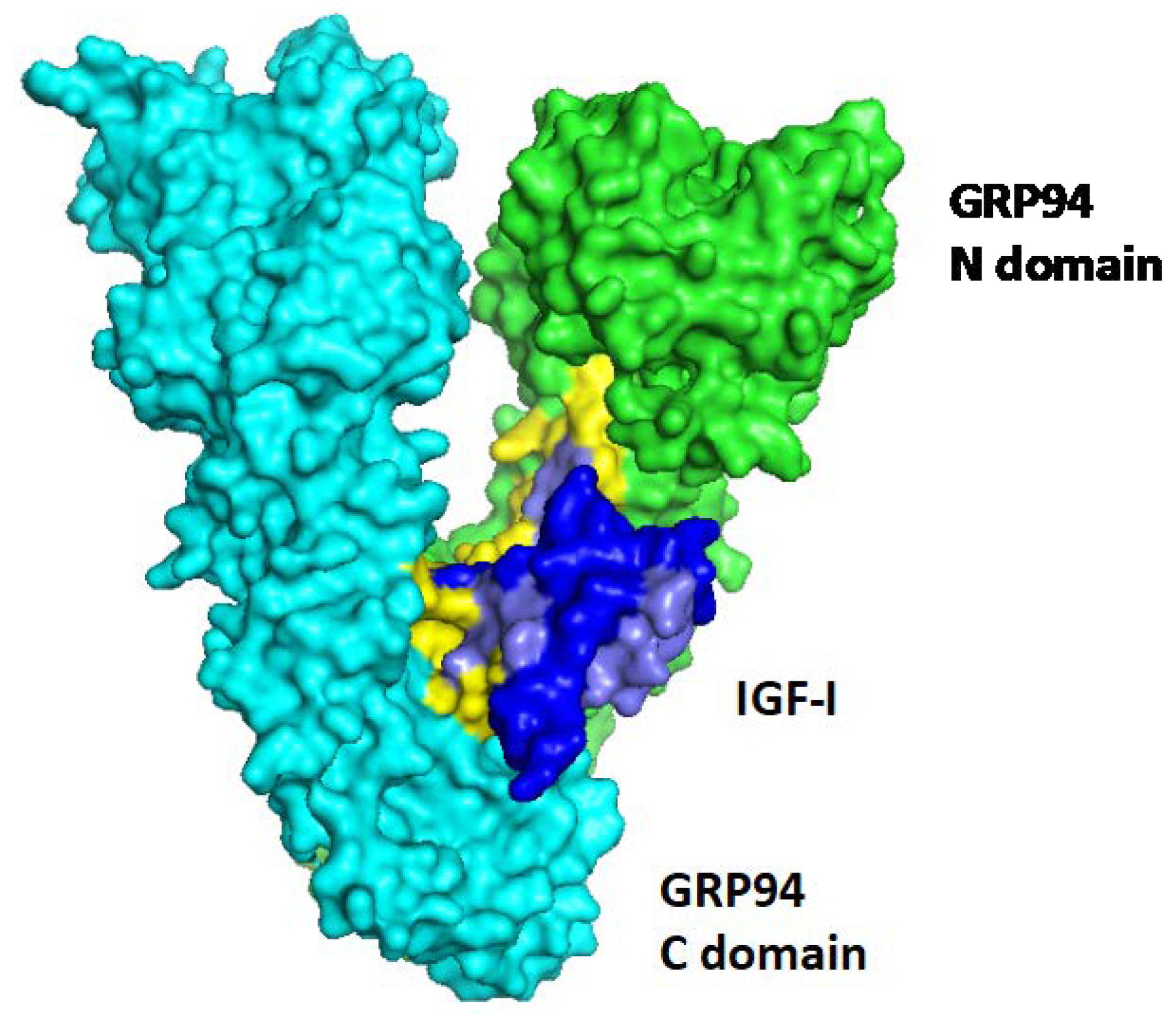 Cells 09 01844 g001
