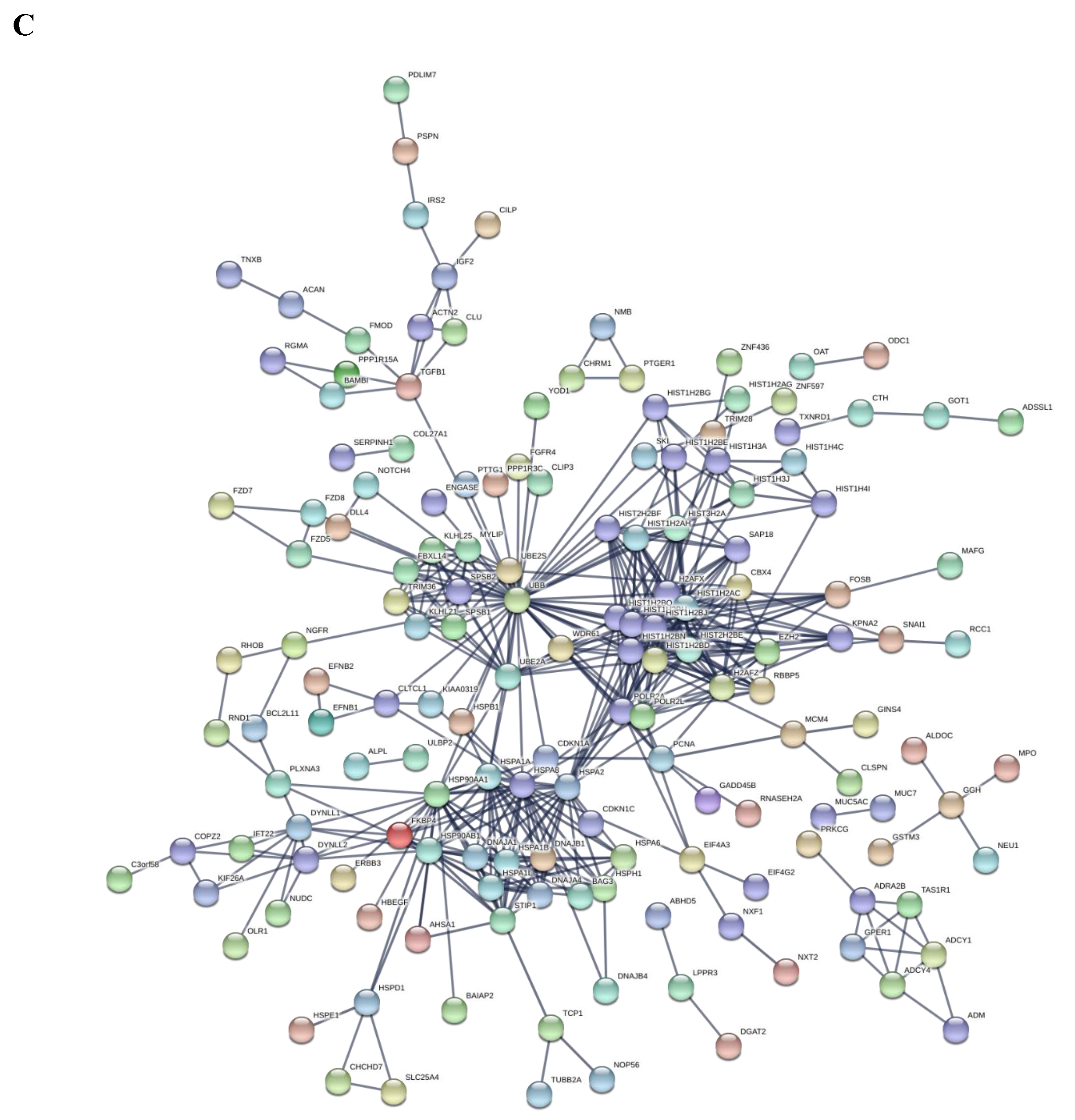 Cells 09 01845 g003c