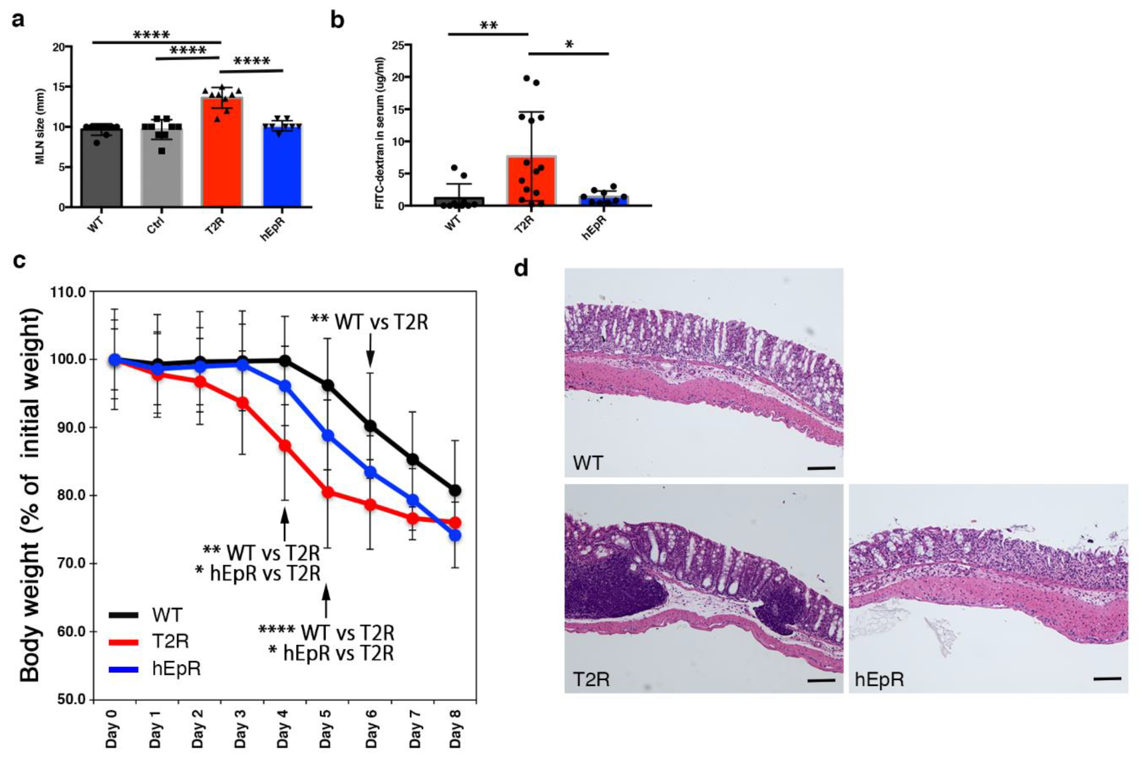 Cells 09 01847 g003 Cells 09 01847 g003