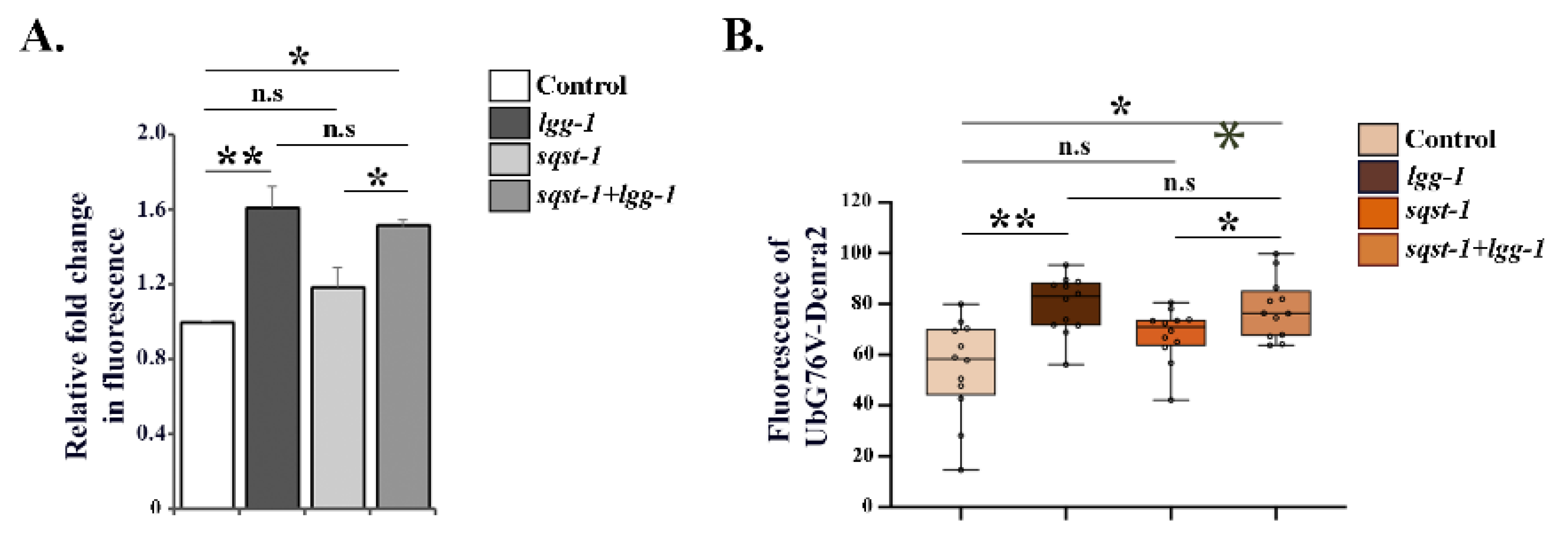 Cells 09 01858 g004 Cells 09 01858 g004