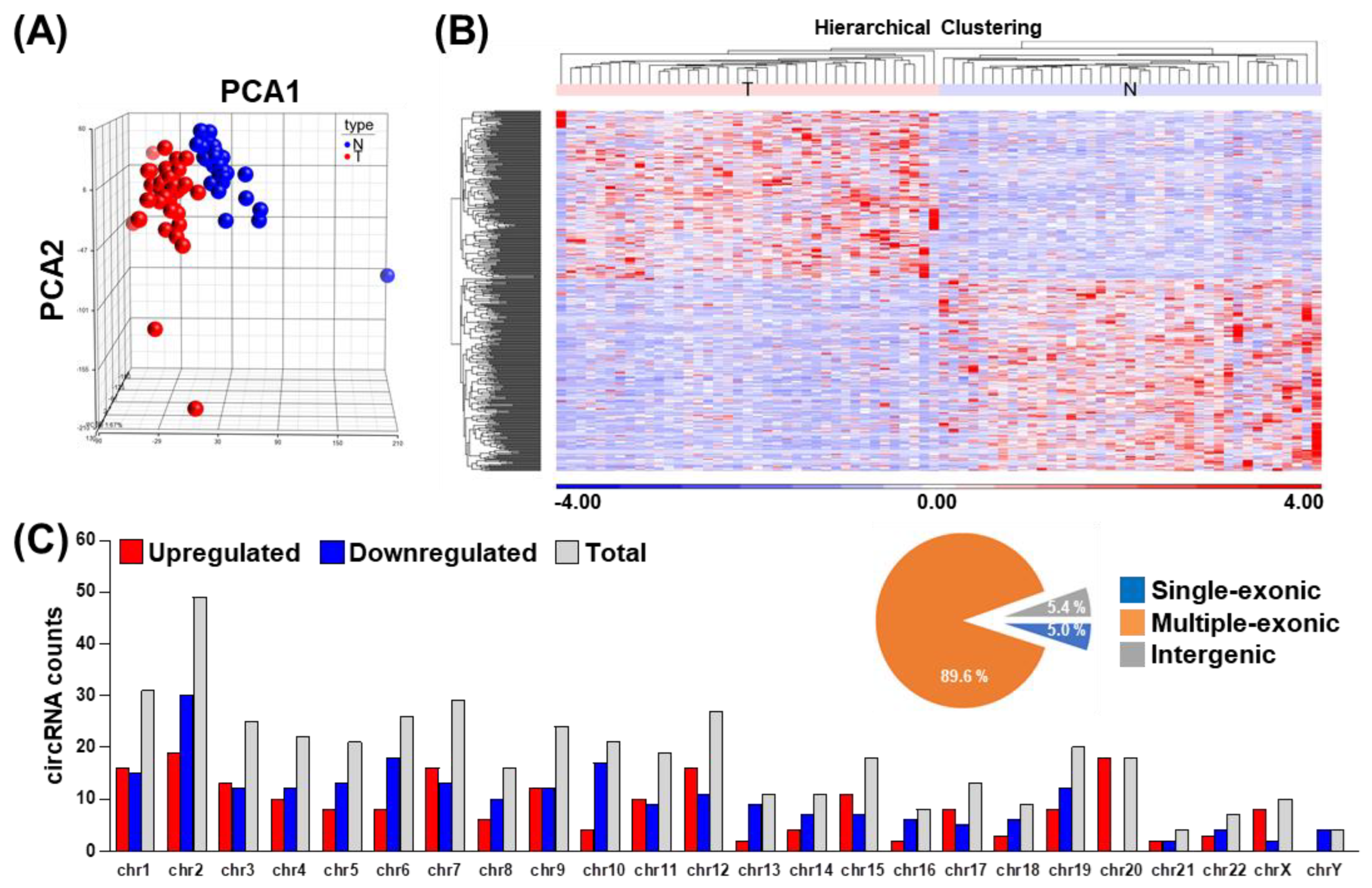 Cells 09 01868 g001 Cells 09 01868 g001