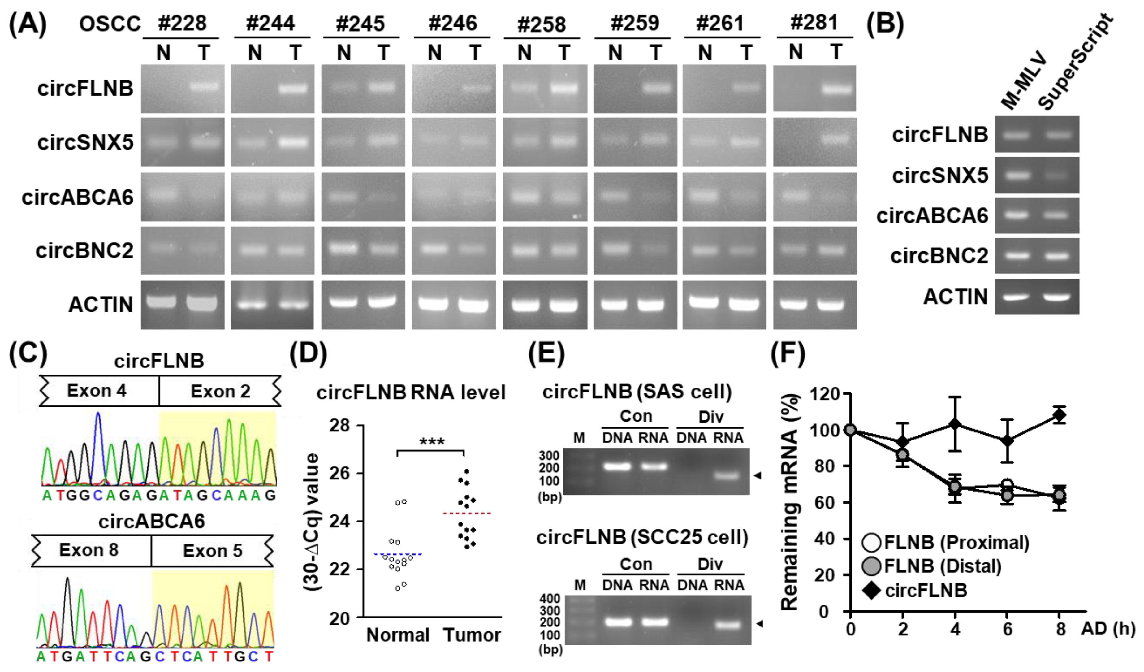 Cells 09 01868 g003 Cells 09 01868 g003