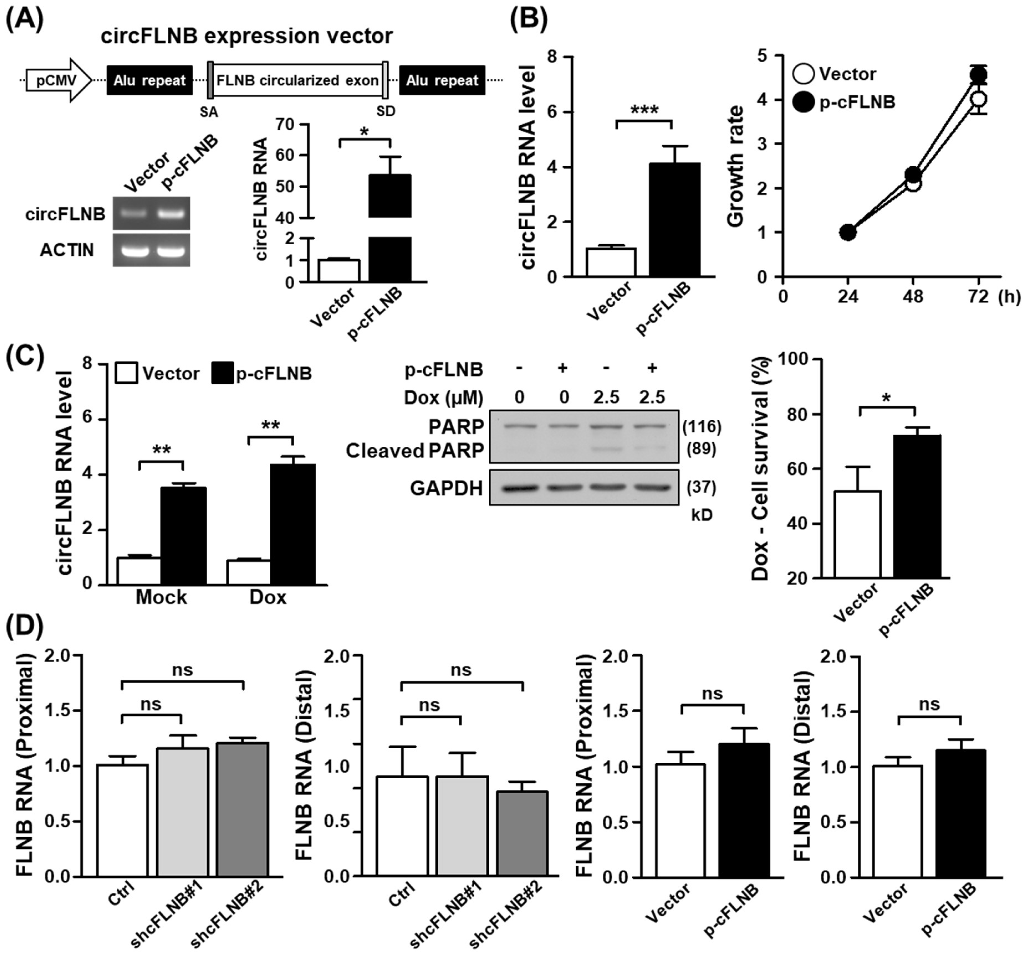 Cells 09 01868 g005 Cells 09 01868 g005