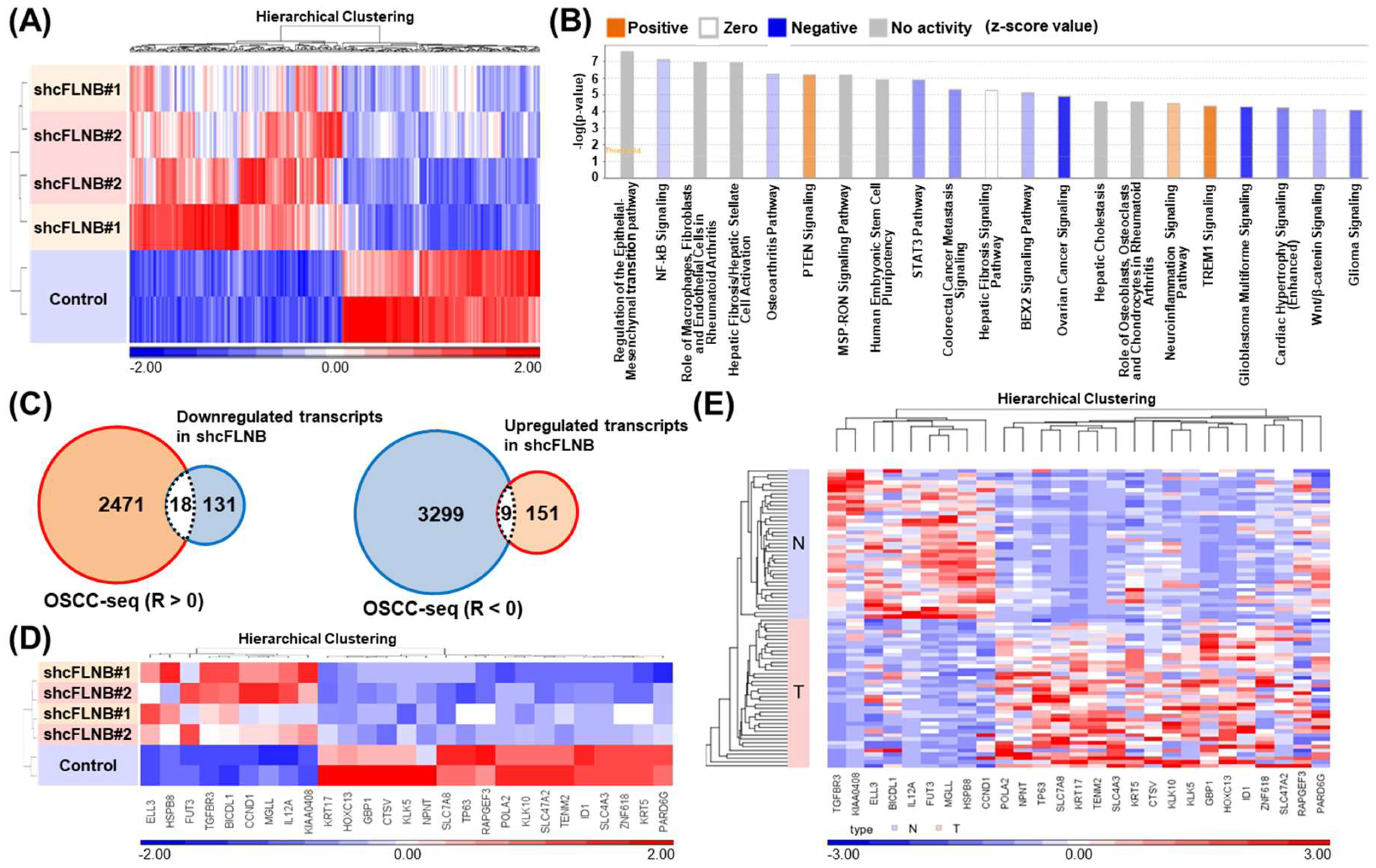 Cells 09 01868 g007 Cells 09 01868 g007