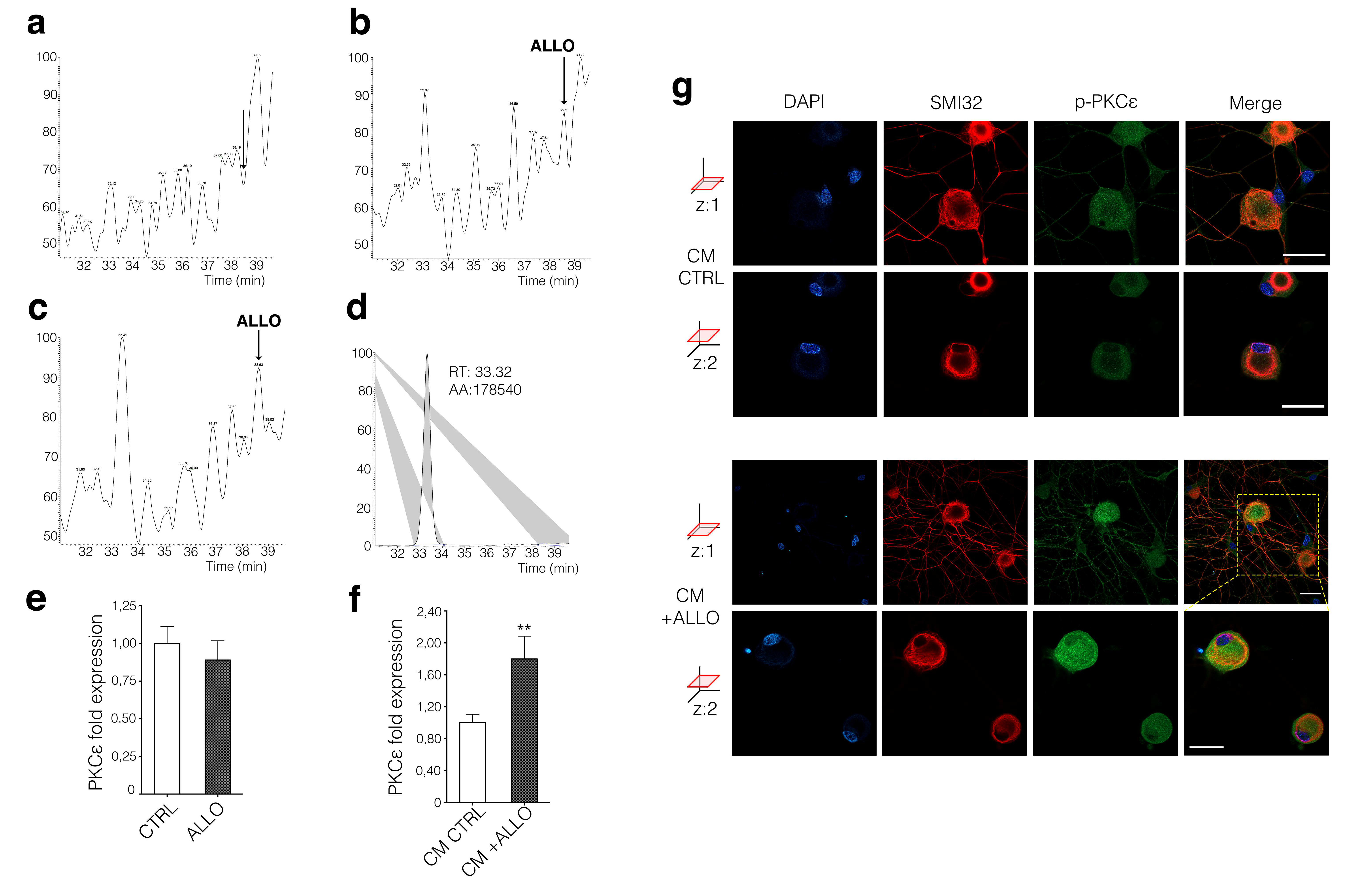 Cells 09 01874 g002 Cells 09 01874 g002