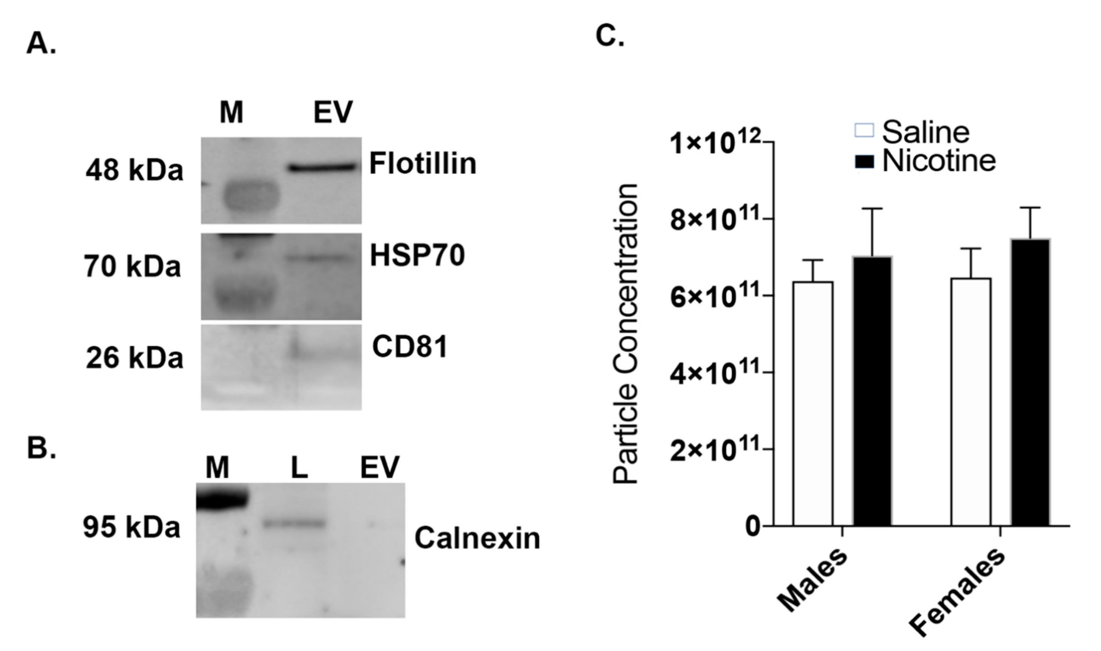 Cells 09 01883 g002