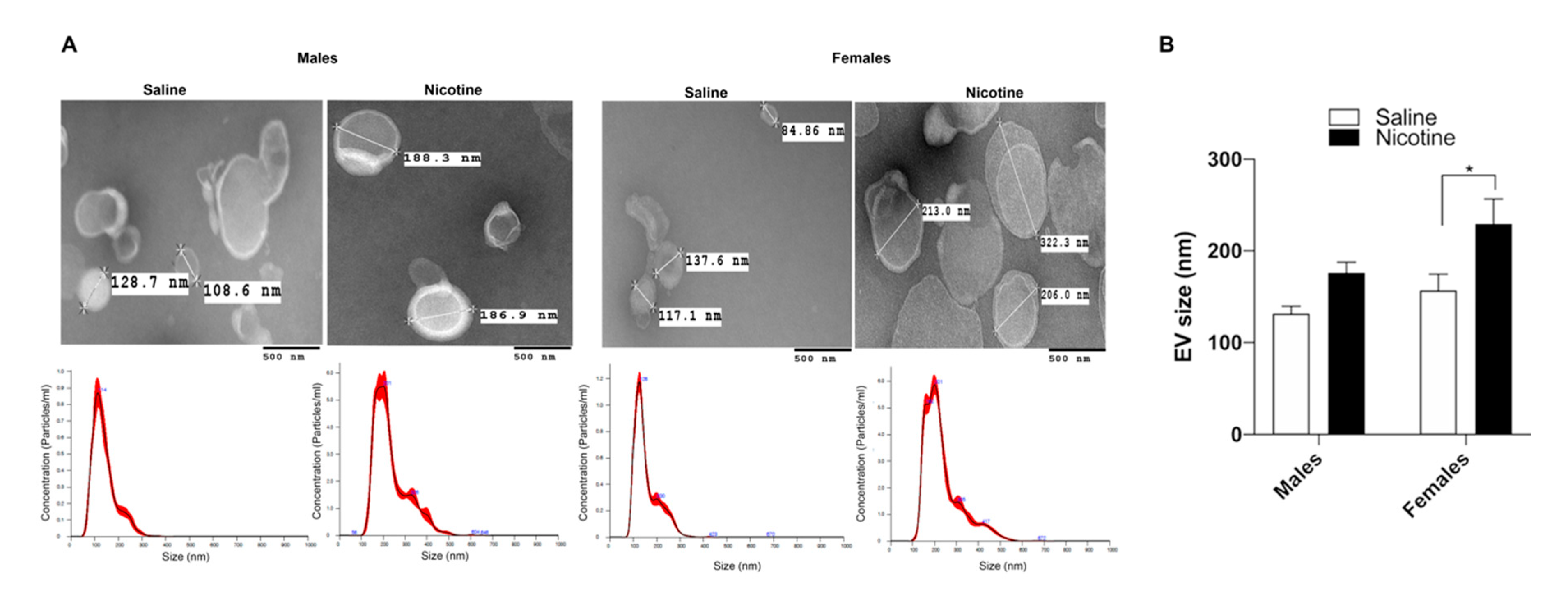 Cells 09 01883 g003