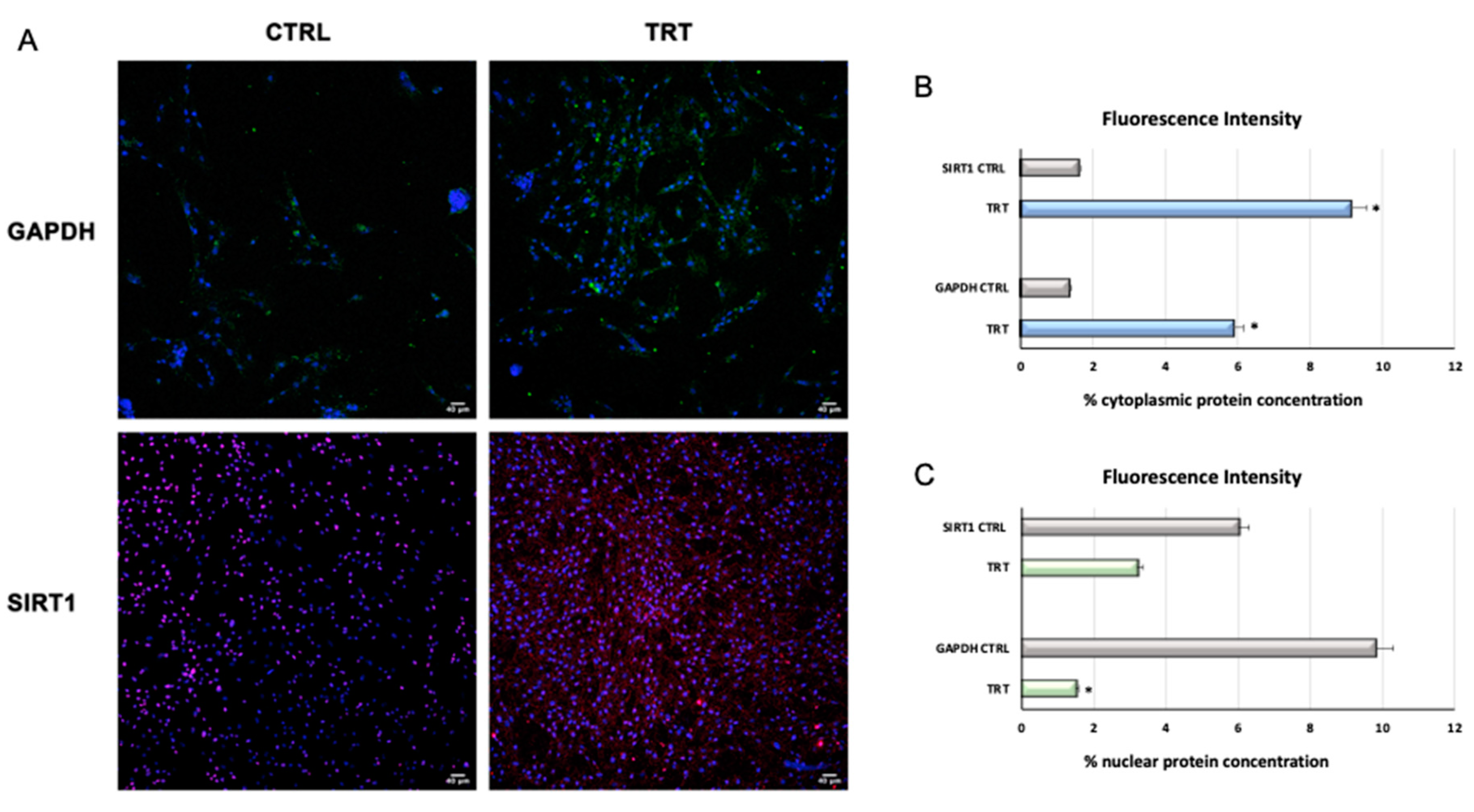 Cells 09 01890 g005 Cells 09 01890 g005