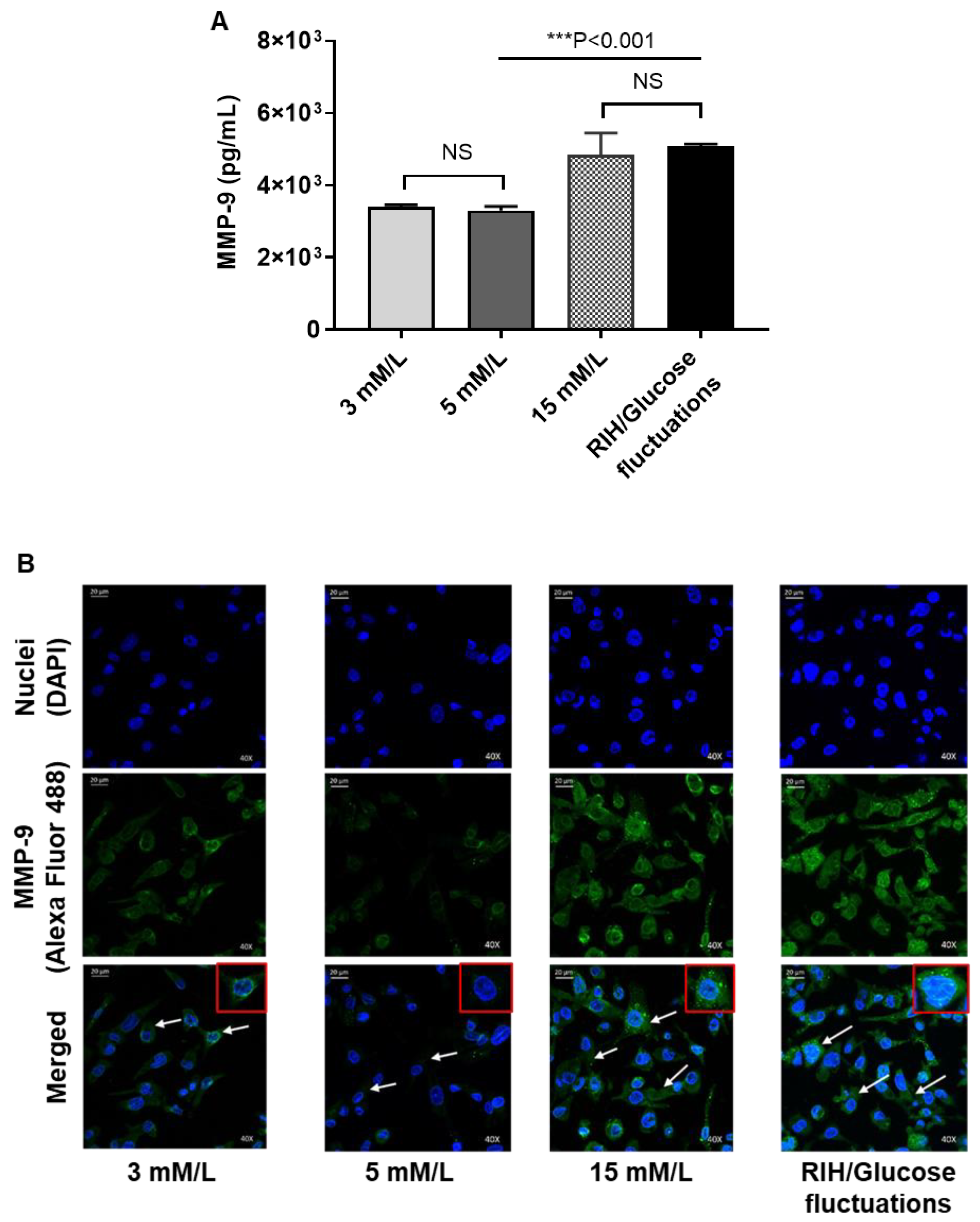 Cells 09 01892 g005a