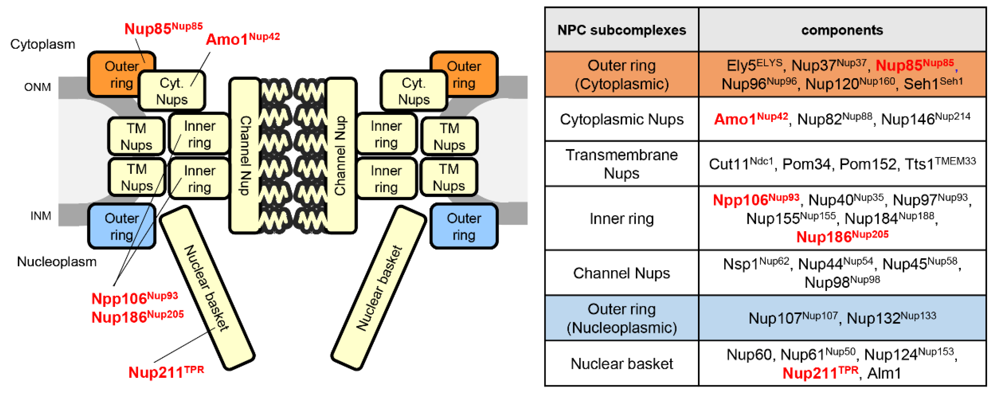 Cells 09 01908 g007 Cells 09 01908 g007